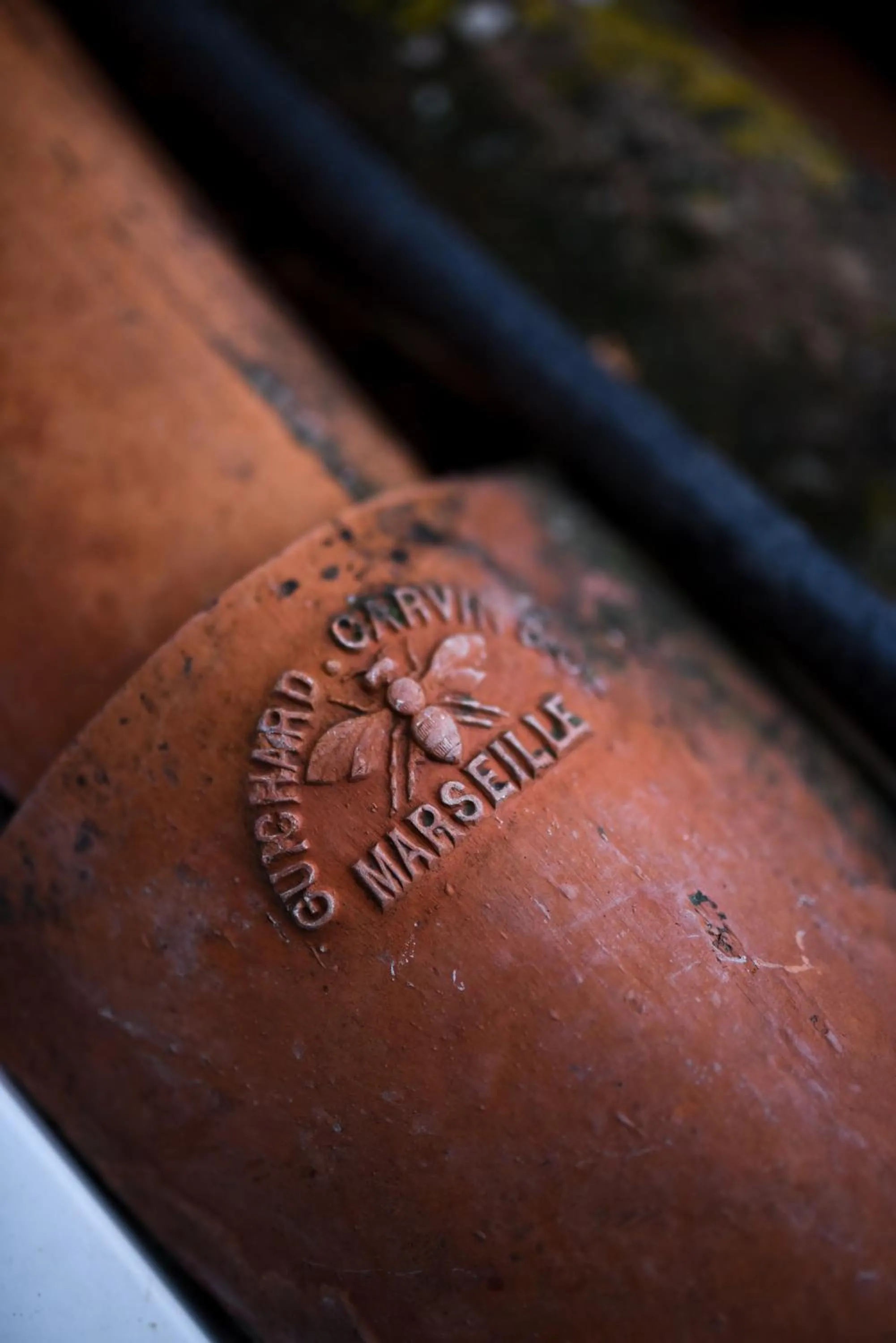 Property building in Auberge de la Treille - Chambres d'Hôtes