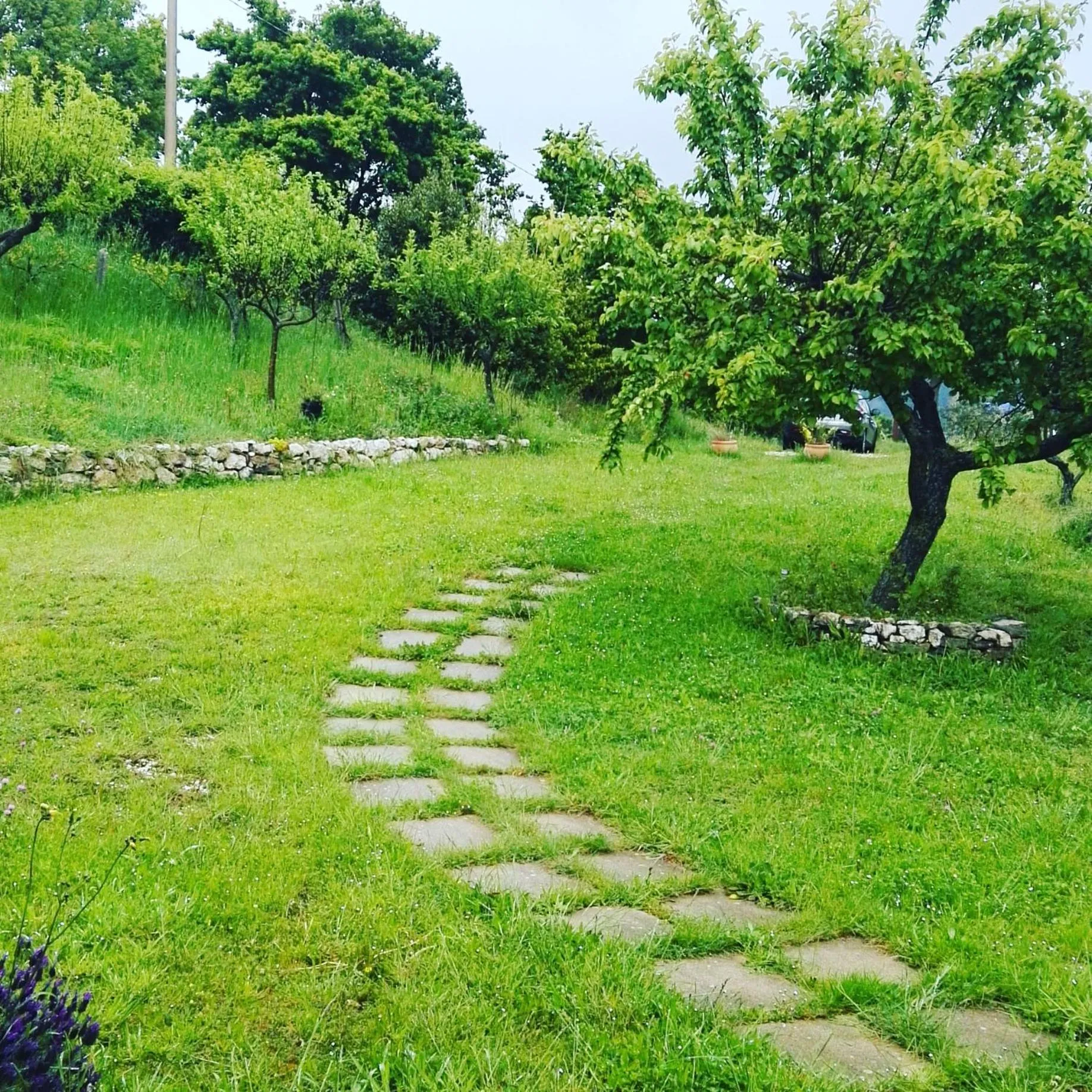 B&B La Montagna Rosa