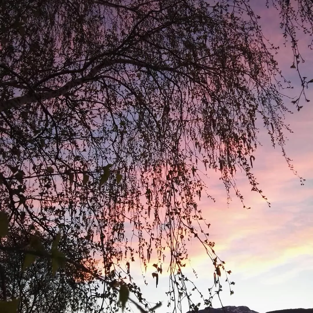 B&B La Montagna Rosa