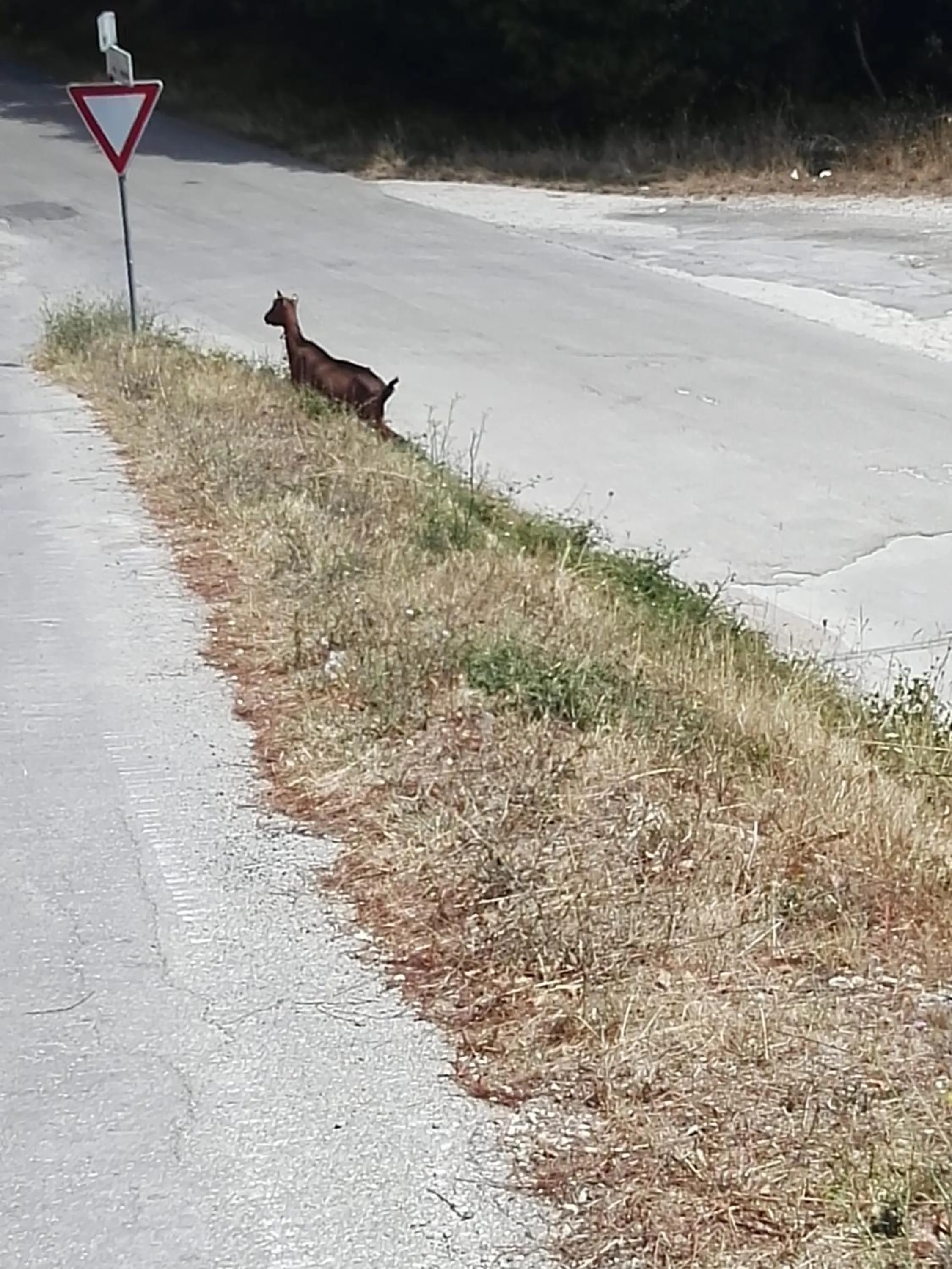 B&B La Montagna Rosa