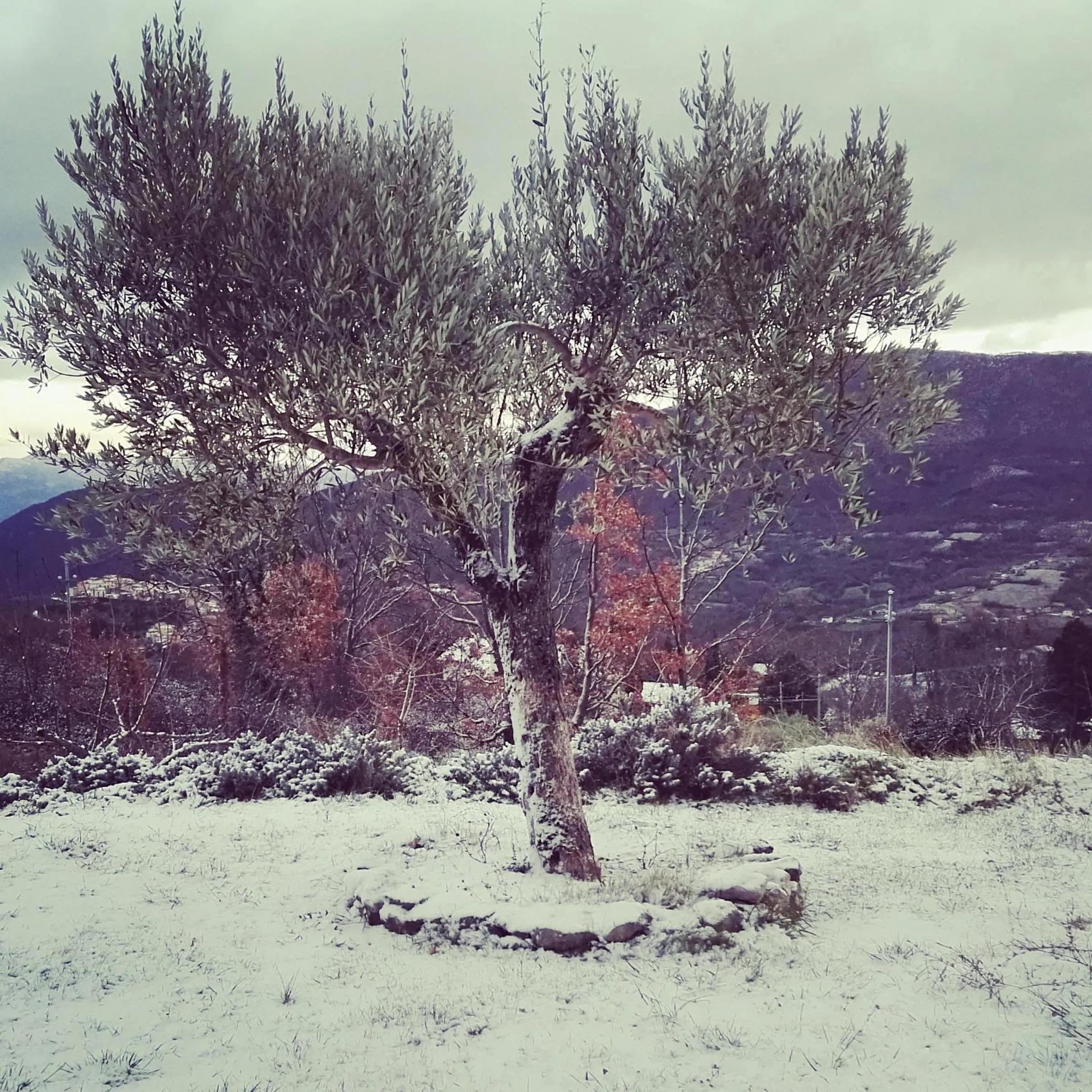 B&B La Montagna Rosa