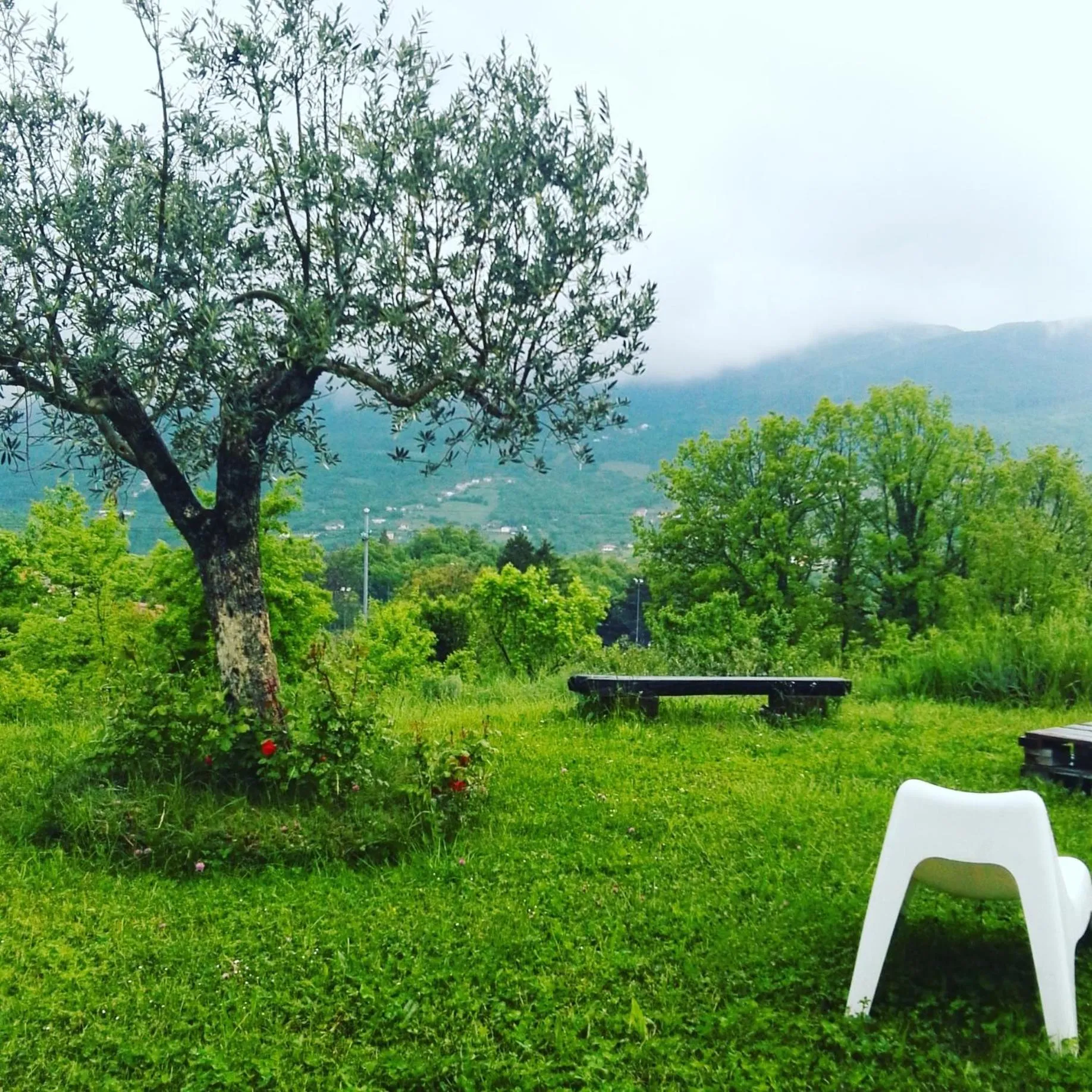 B&B La Montagna Rosa