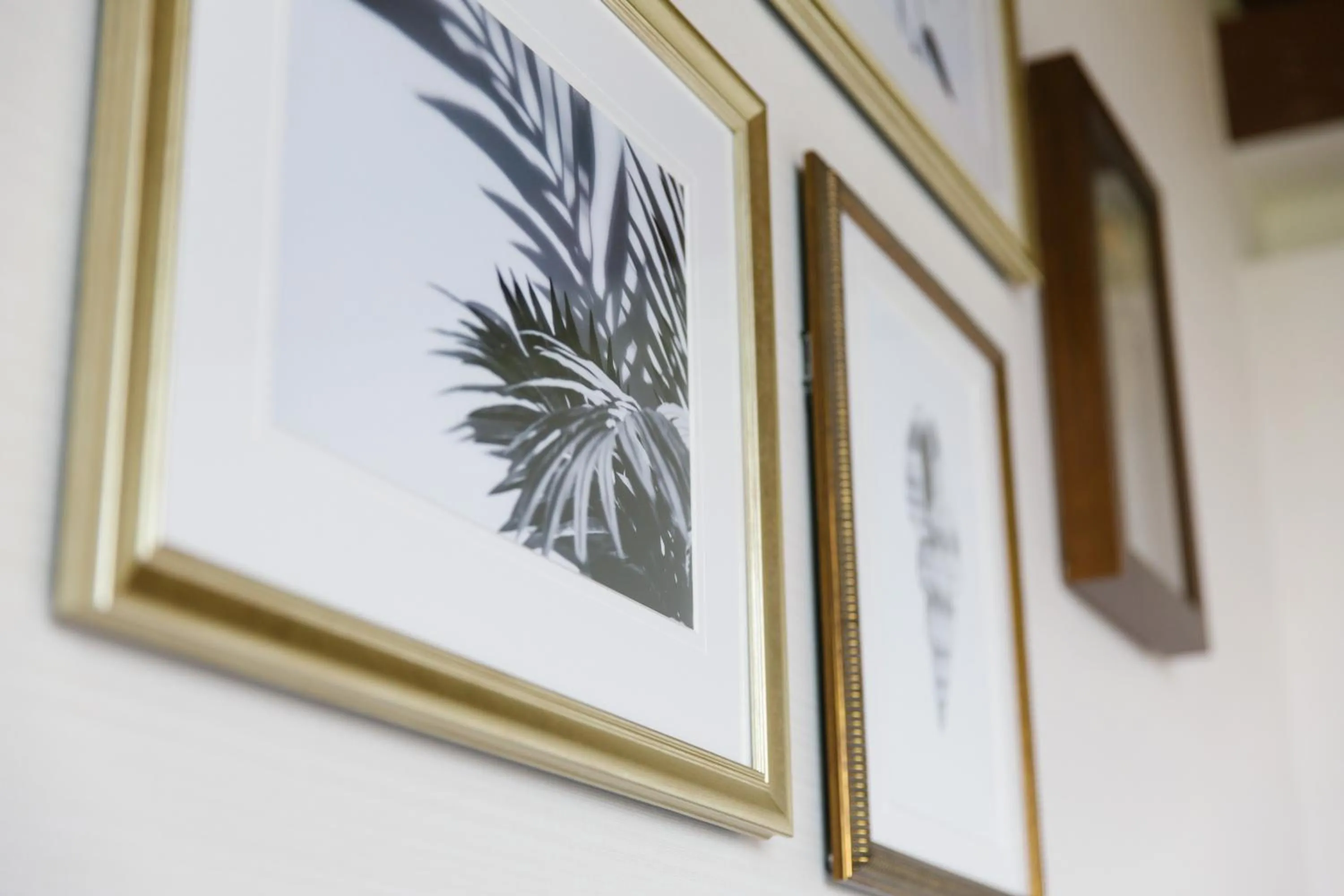 Miyako Resort Okushima Aqua Forest