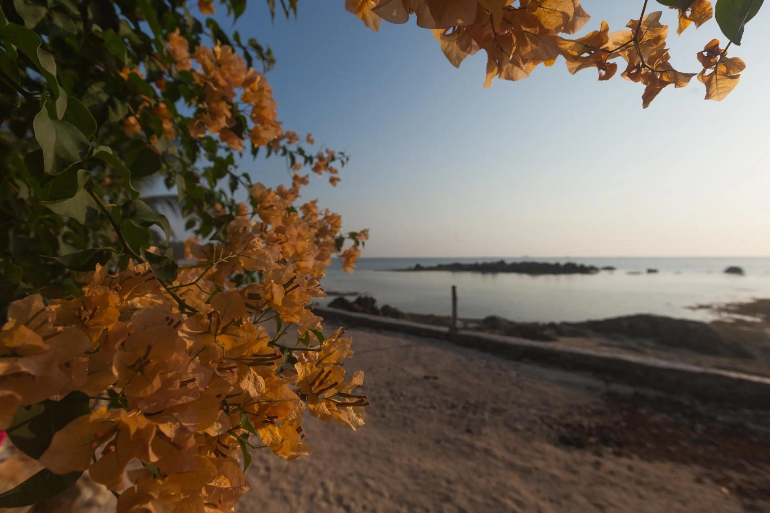 Beach in Zama Resort Koh Phangan