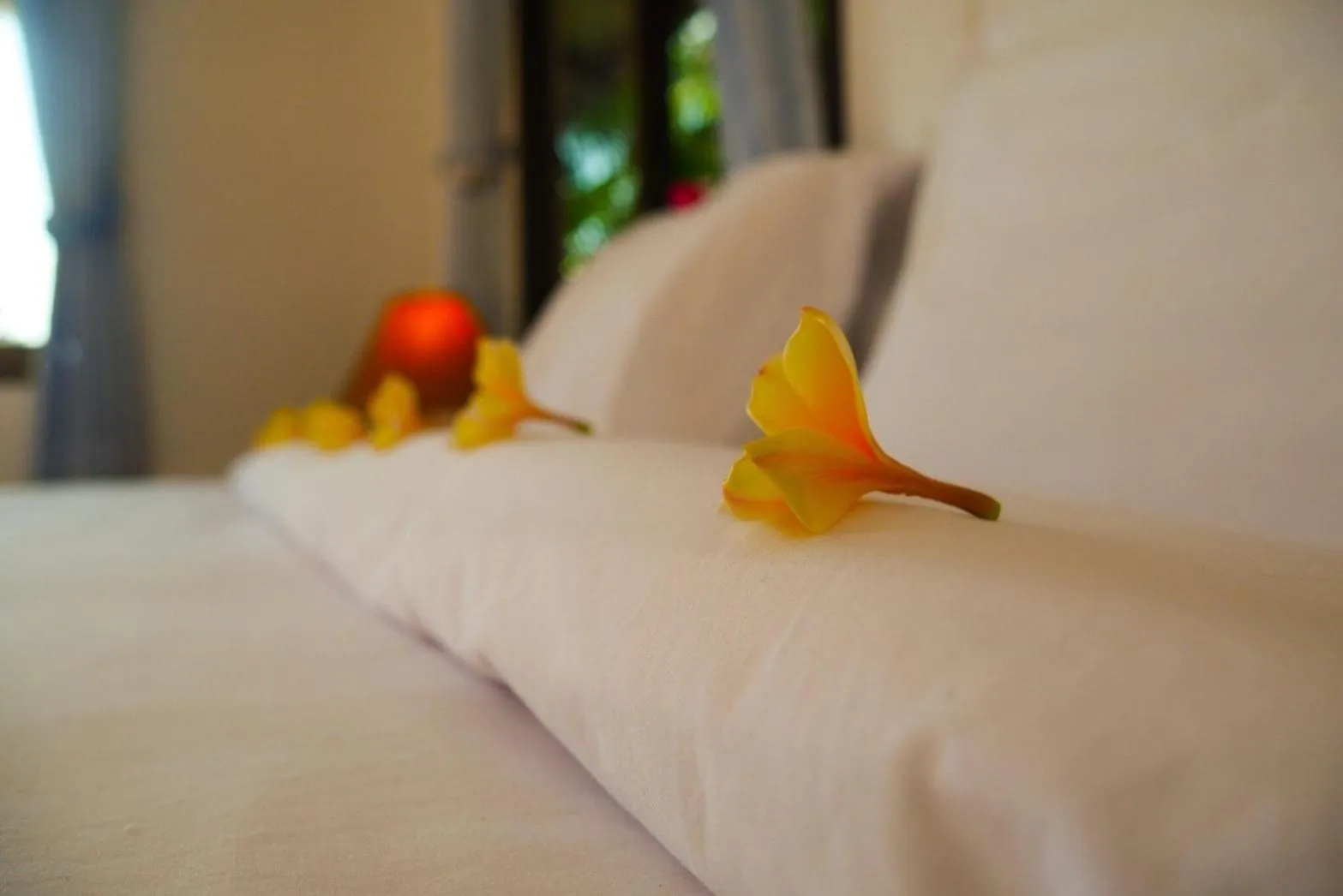 Bed in Zama Resort Koh Phangan