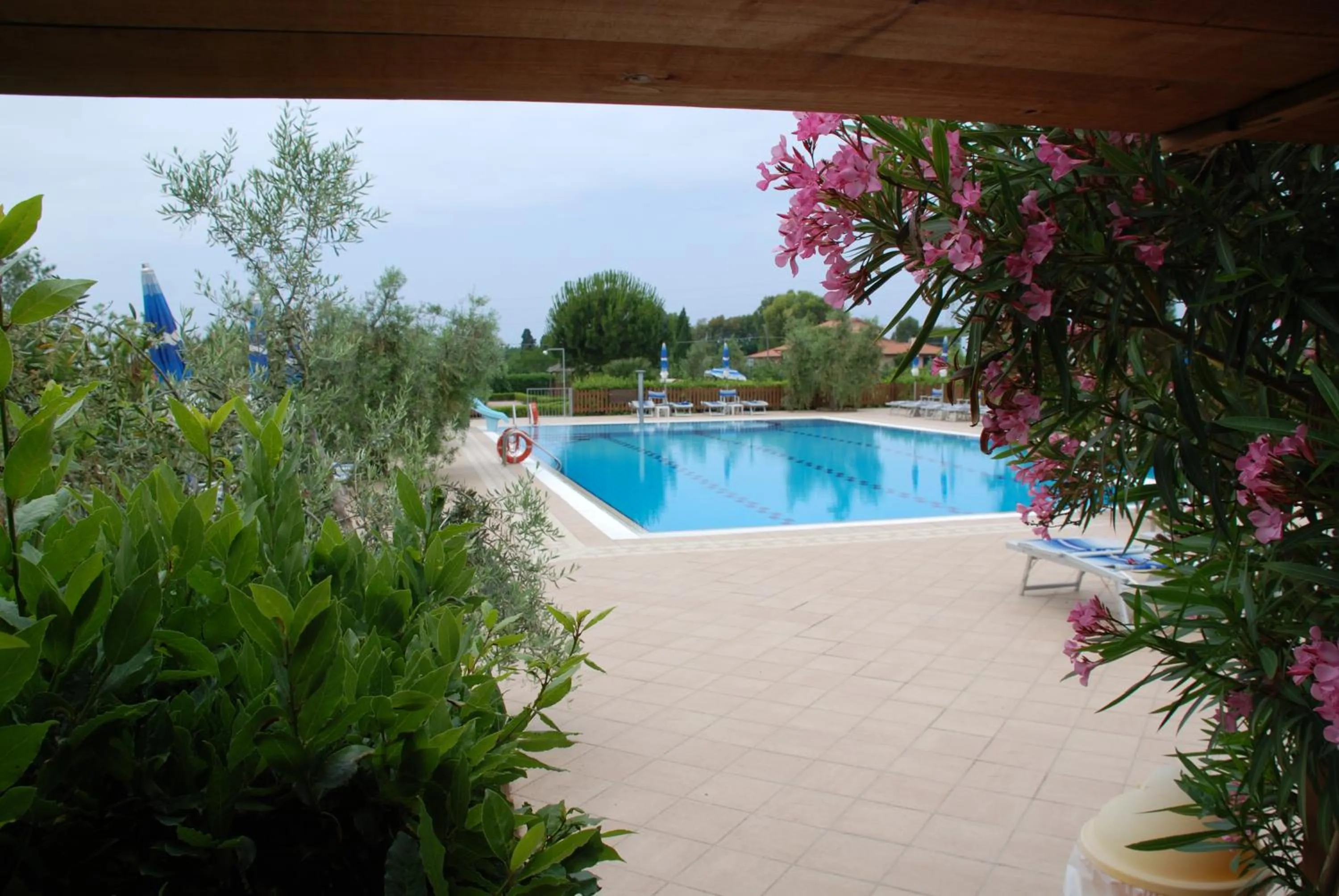 Swimming pool in Antico Podere San Francesco