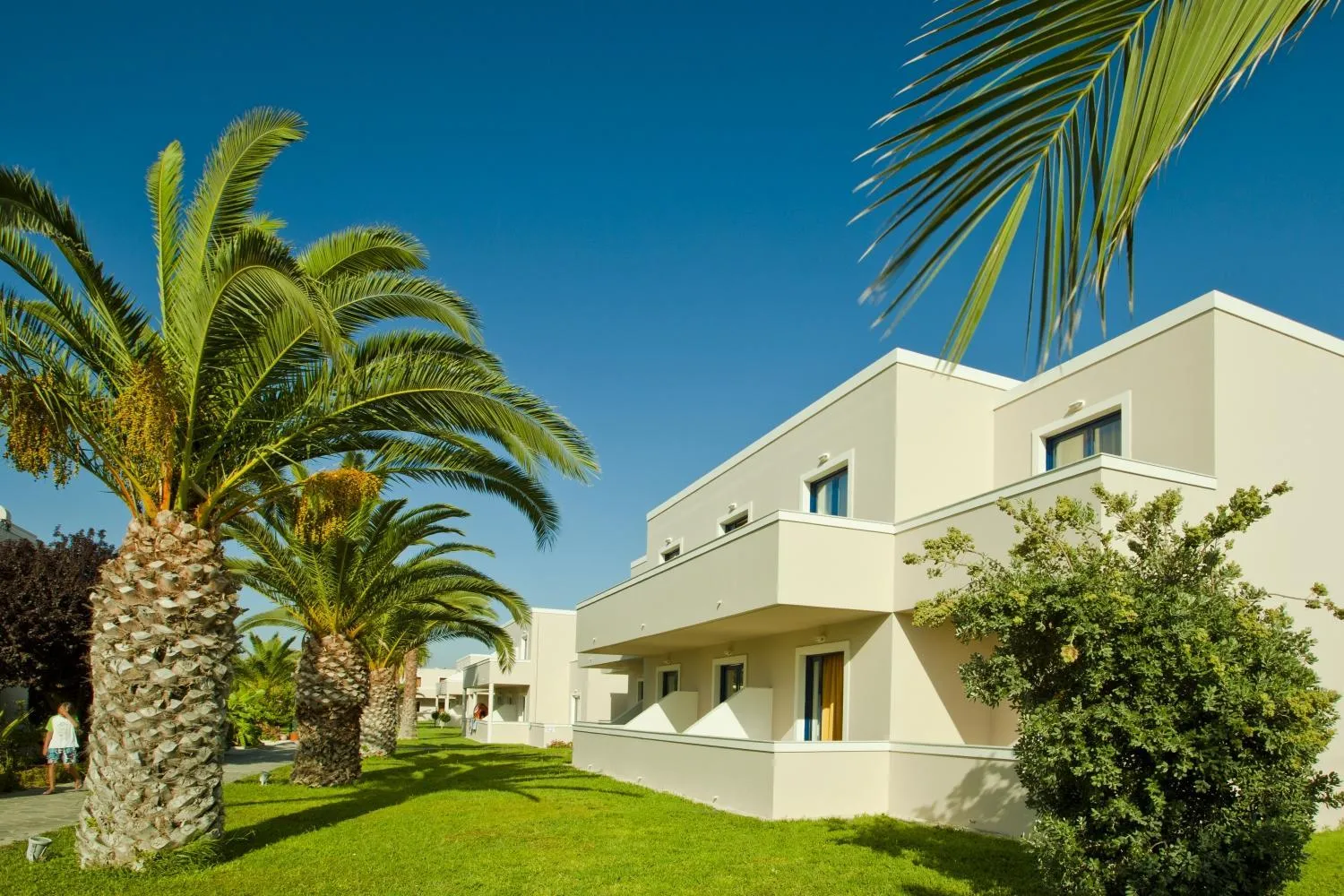 Garden in Hotel Esperia