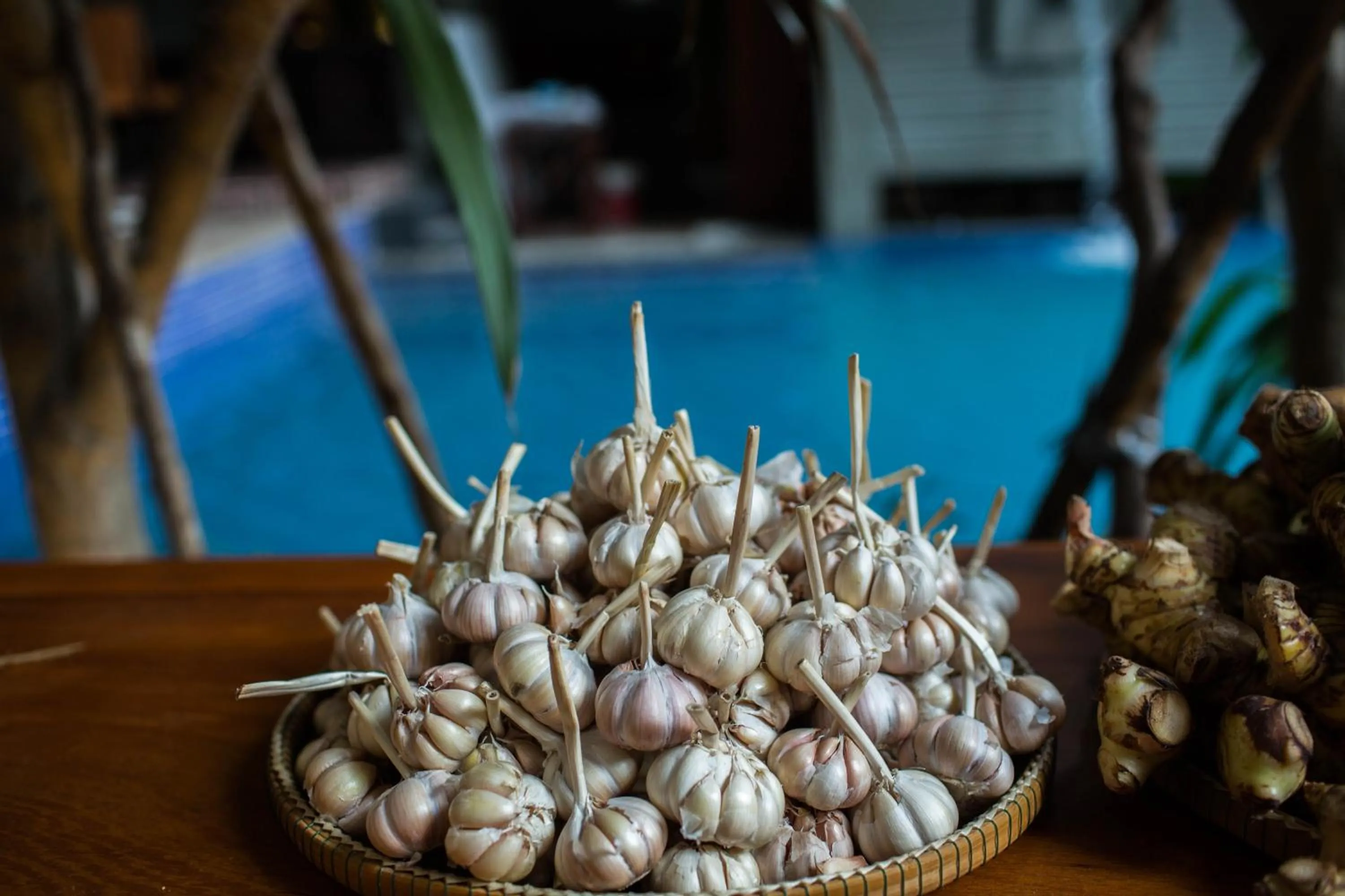 Lobby or reception in Golden Temple Boutique