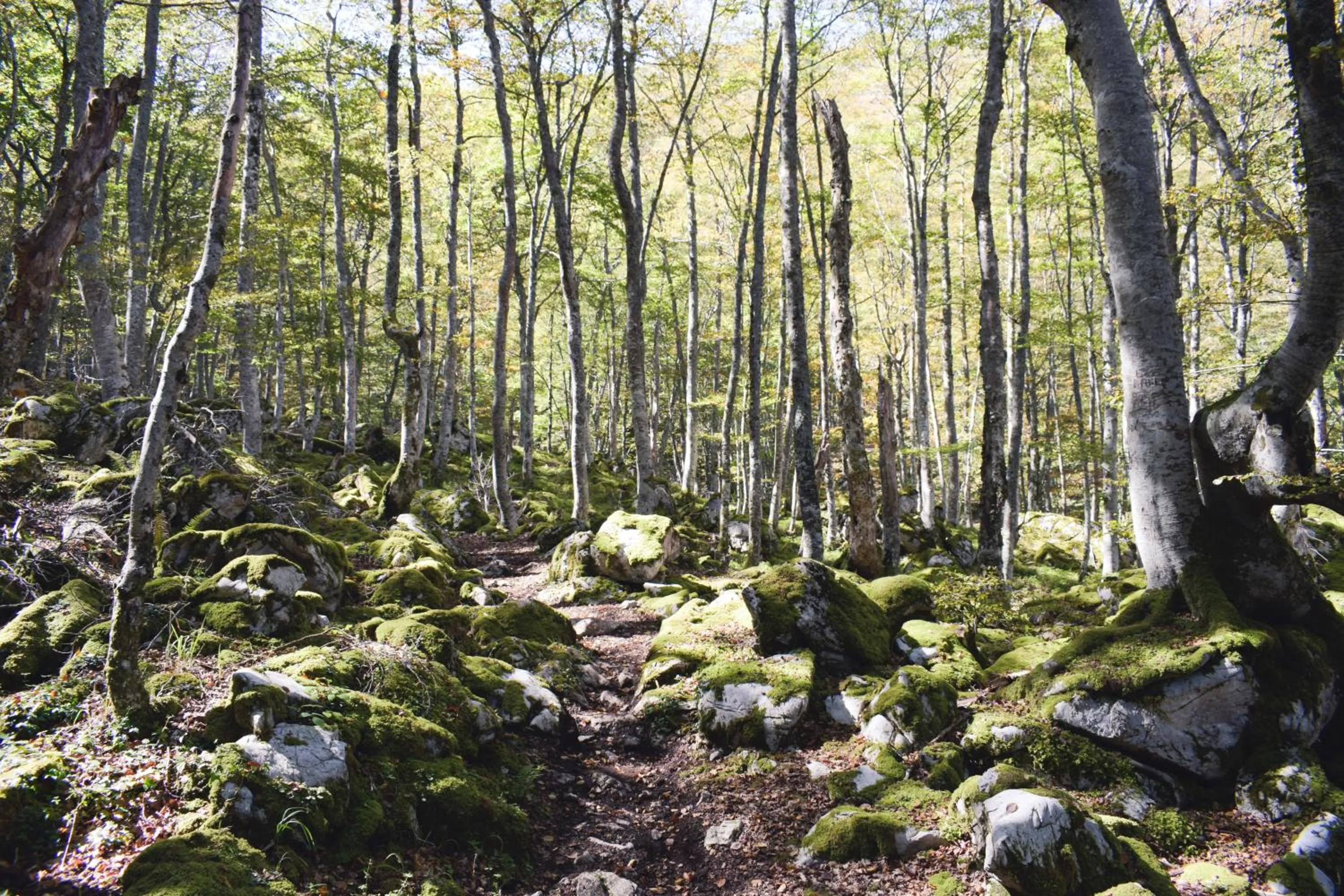 Hiking in Hotel Casa El Rapido