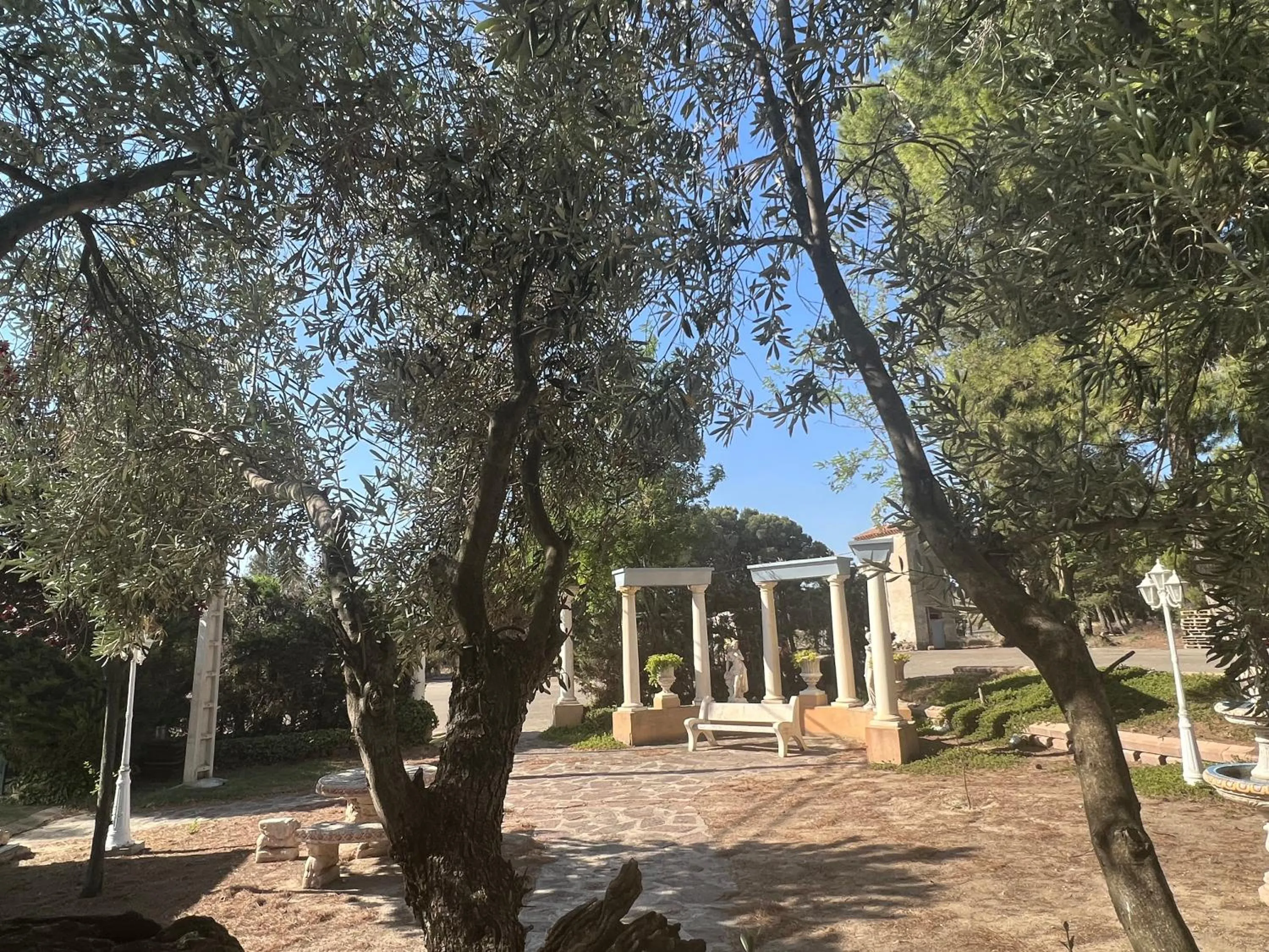 Garden in Hotel El Cisne