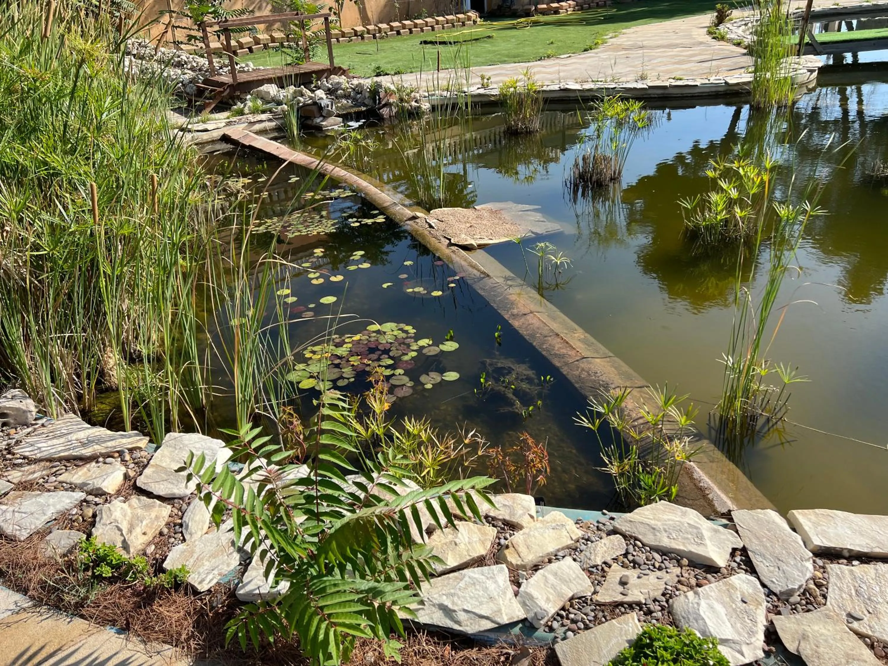 Patio in Hotel El Cisne