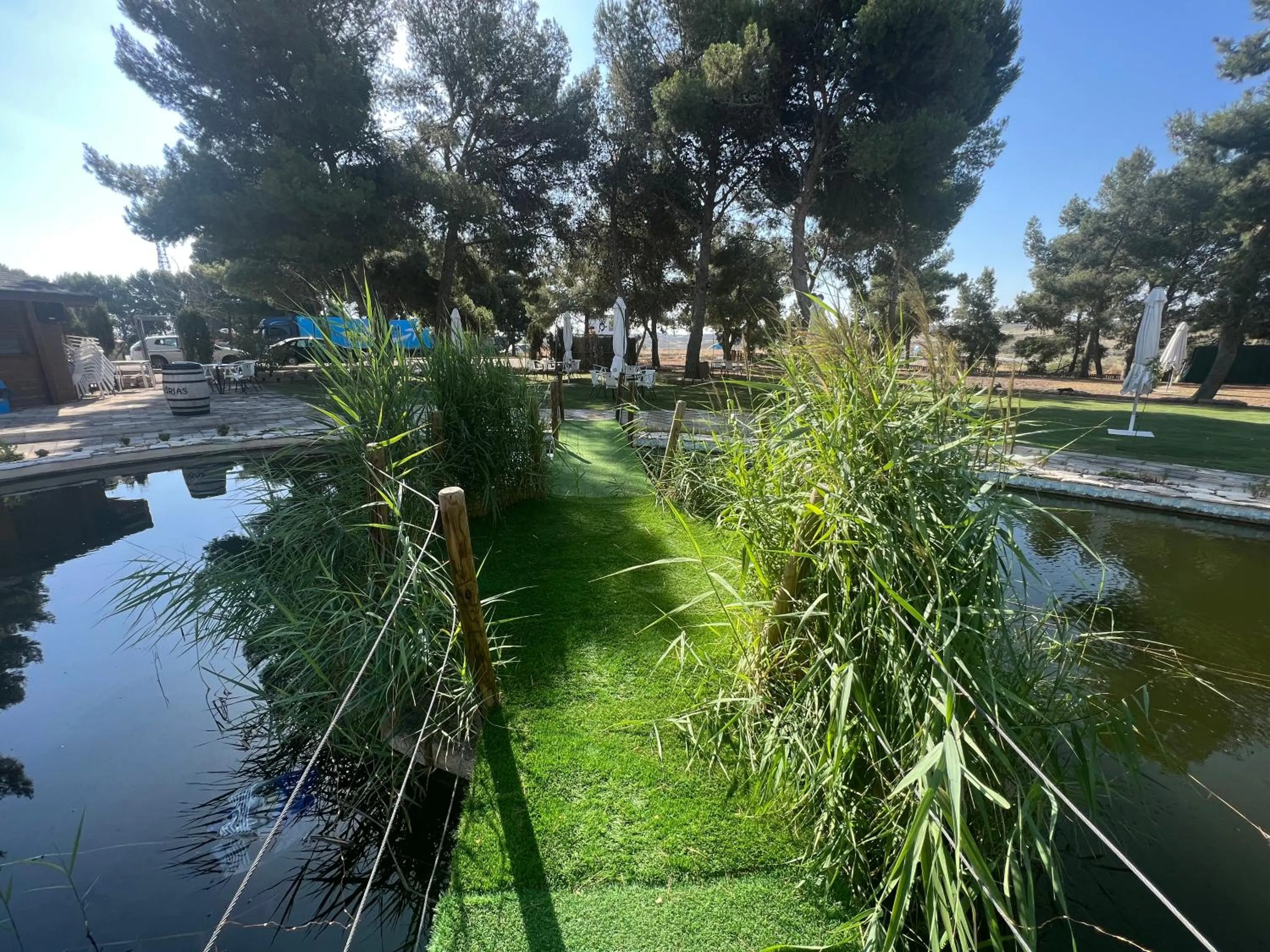 Garden in Hotel El Cisne