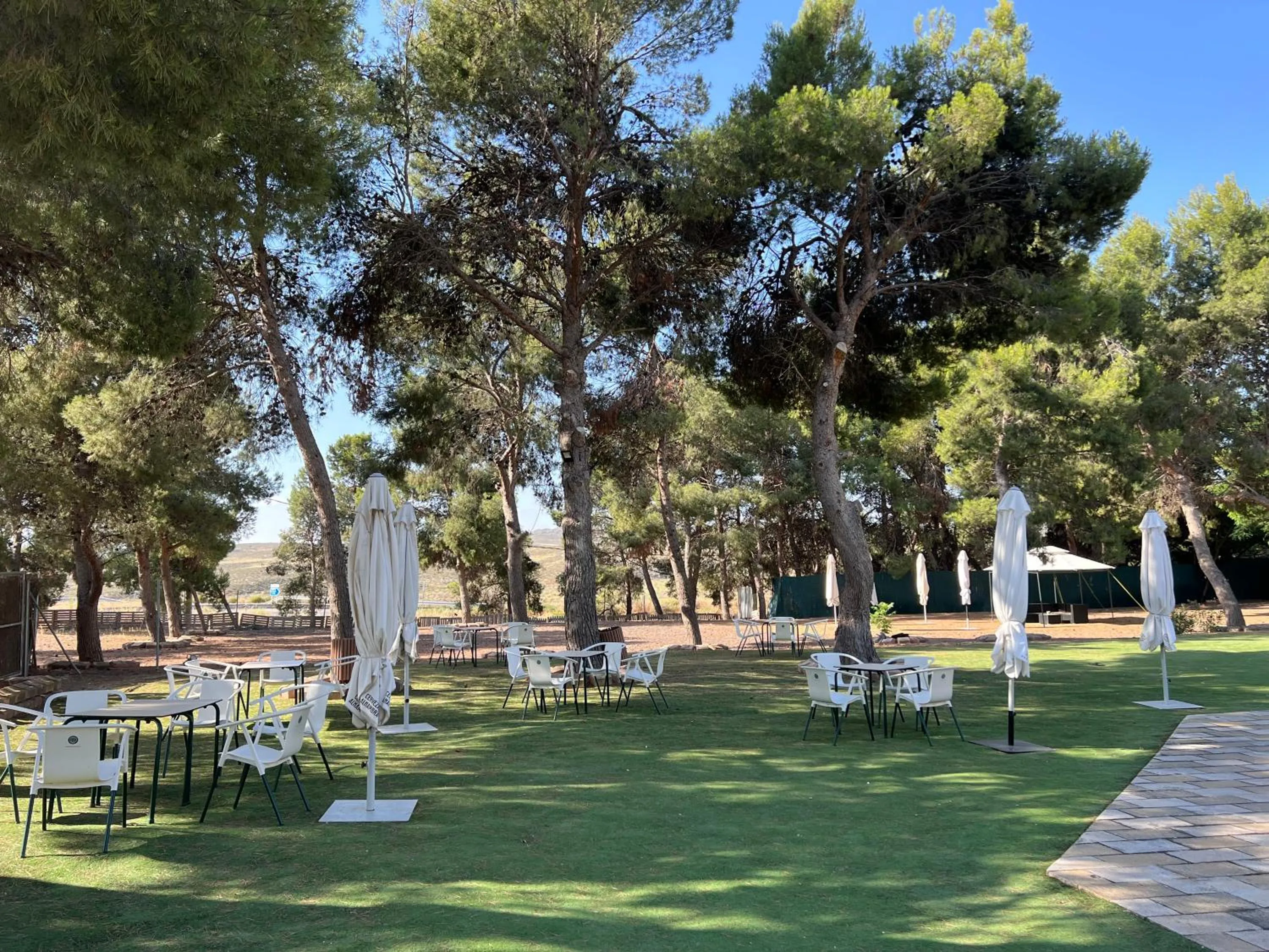 Garden in Hotel El Cisne