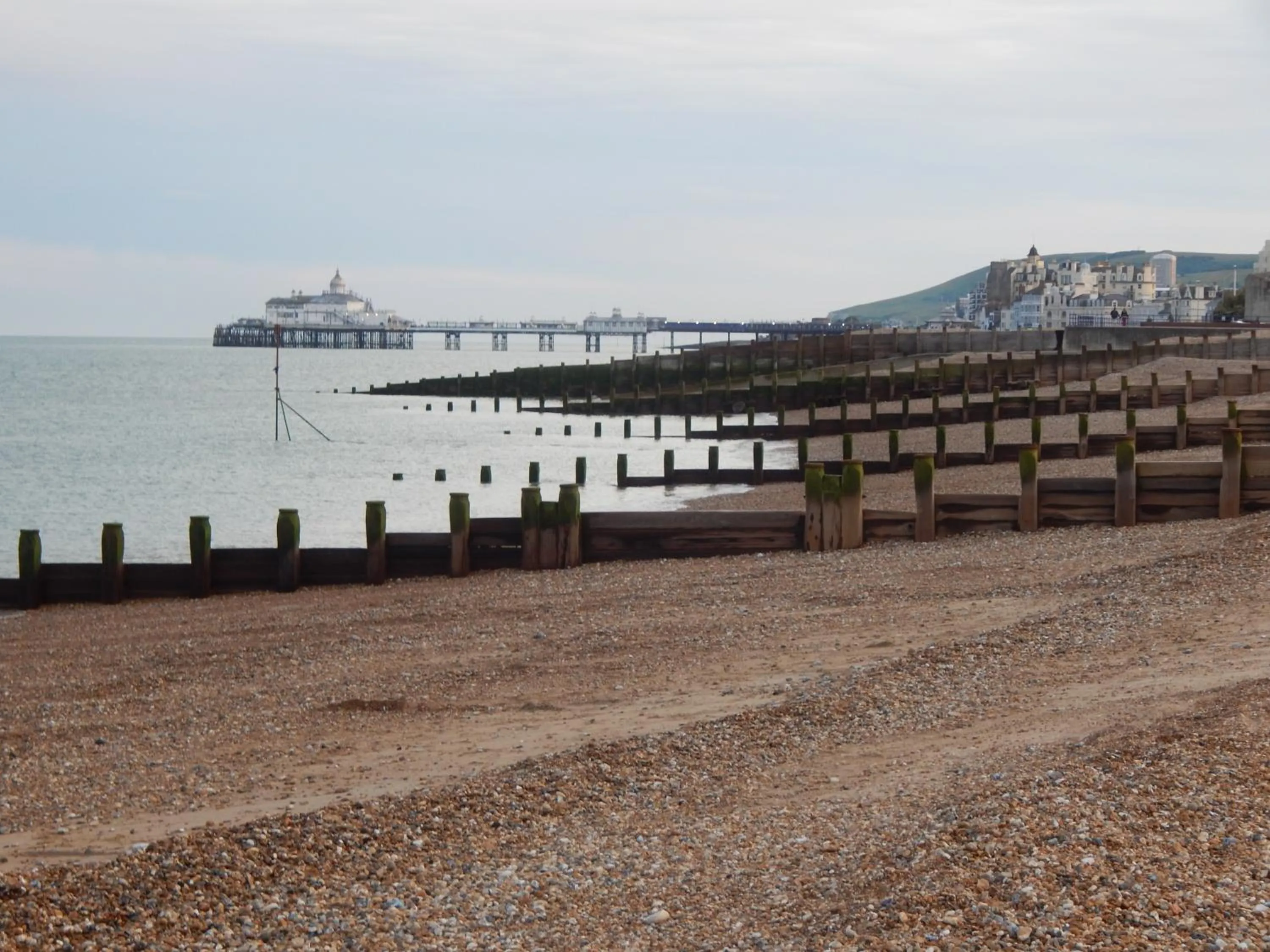 Beach in The Garfield Guest House