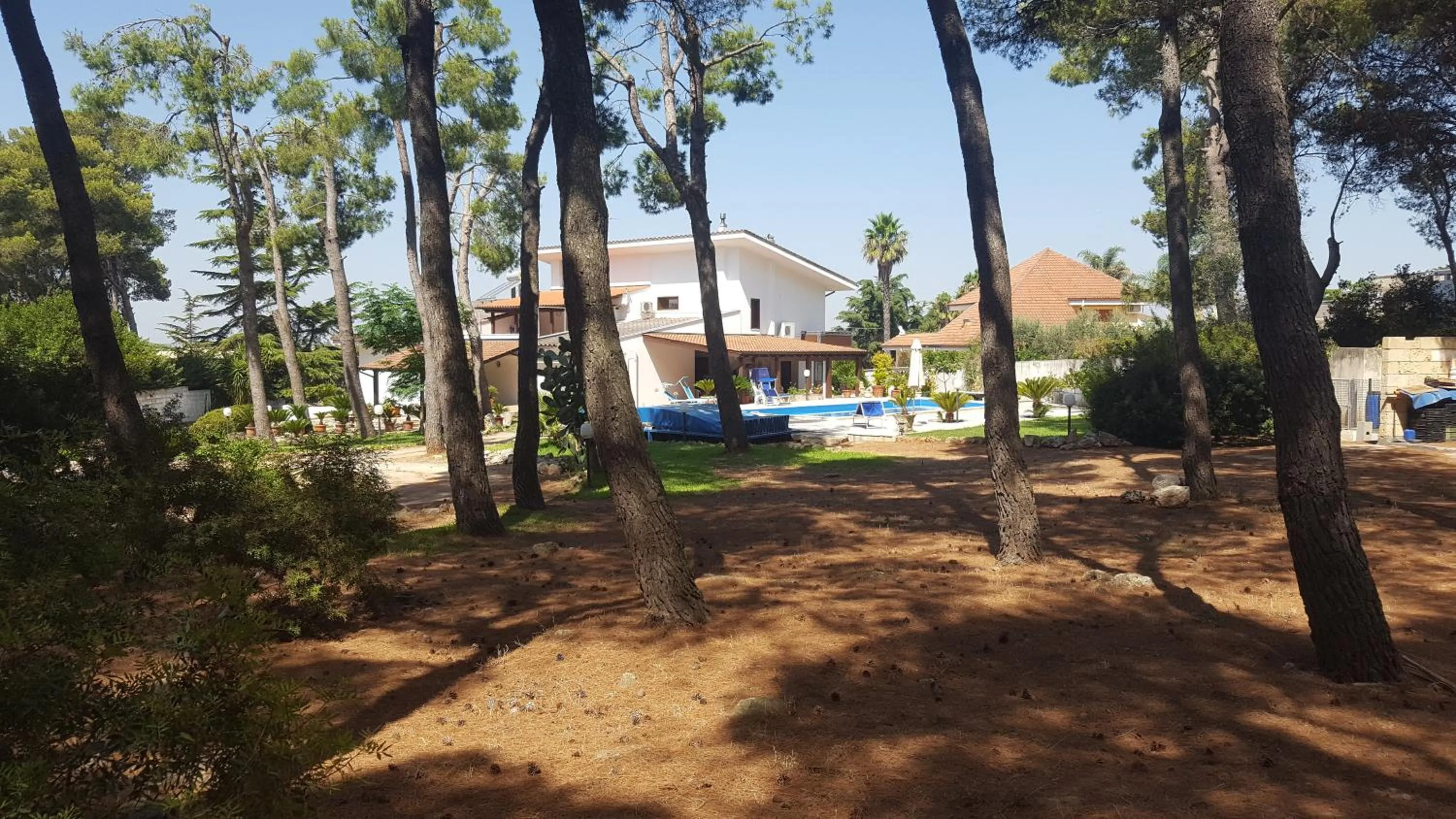 Property building in B&B Solepineta