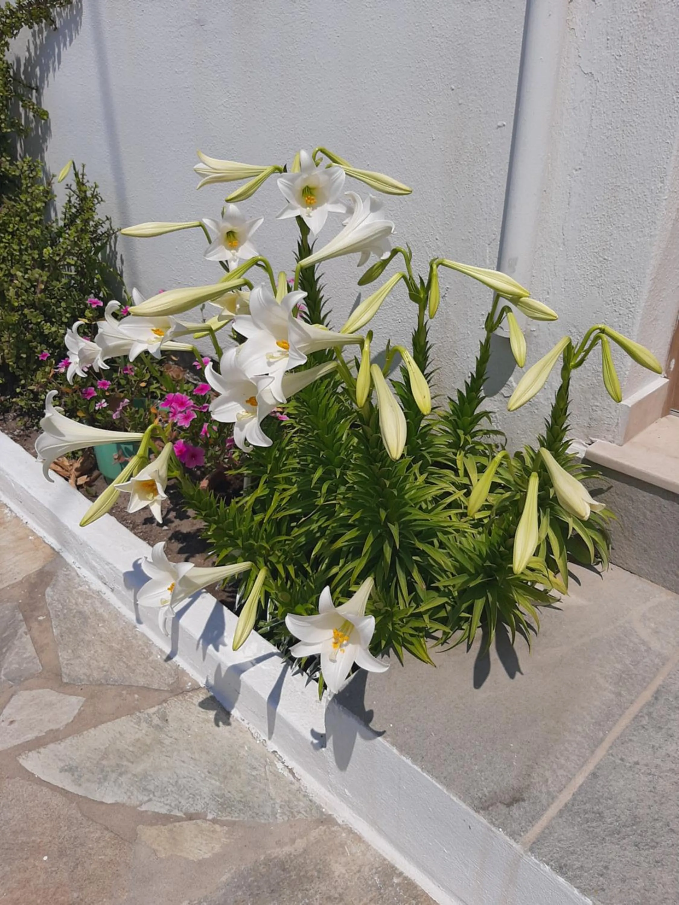 Property building in Asteri Hotel