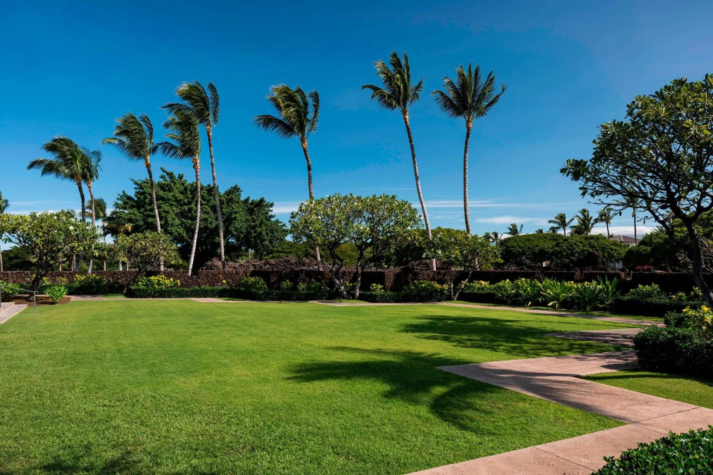 Meeting/conference room in Waikoloa Beach Marriott Resort & Spa