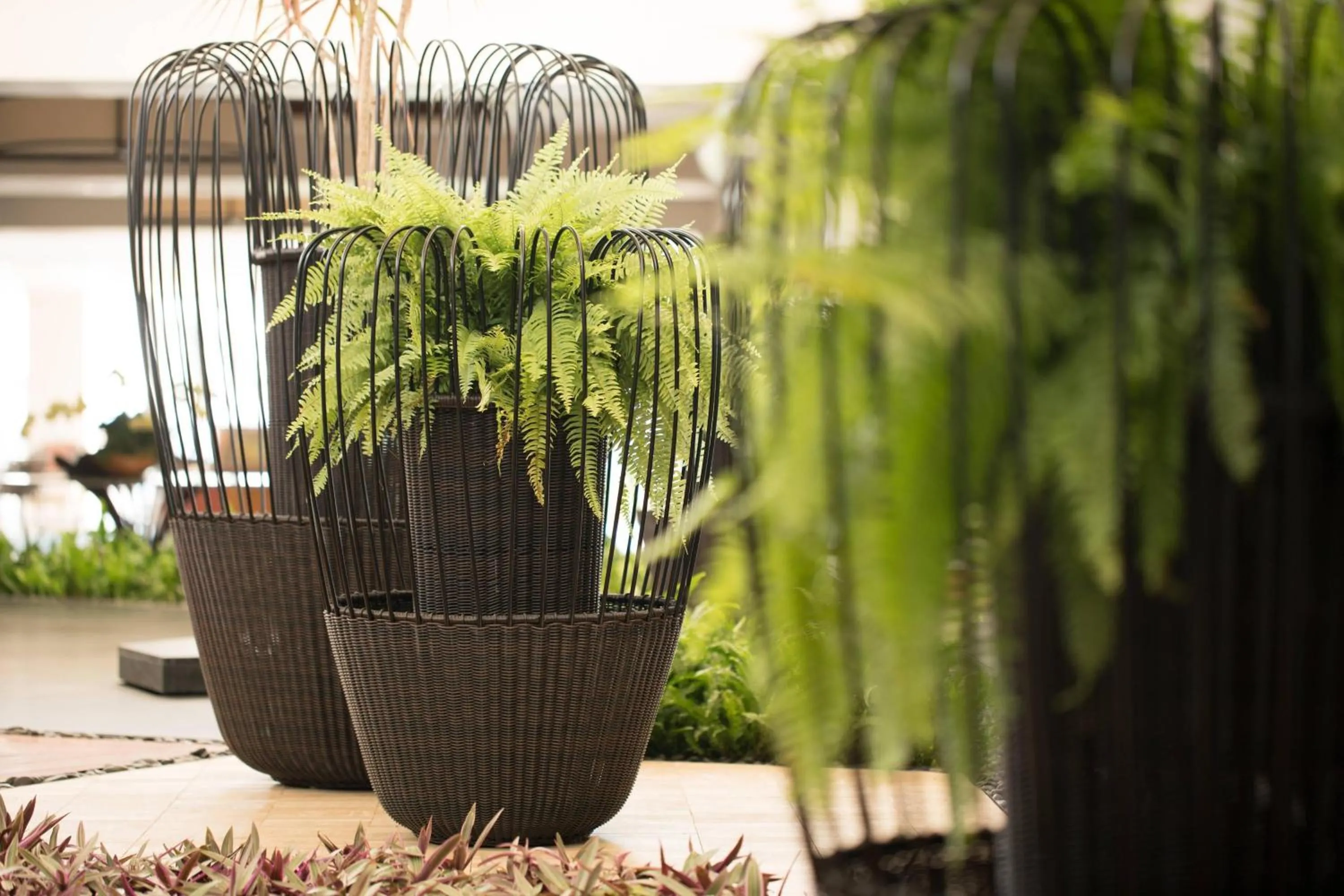 Lobby or reception in Waikoloa Beach Marriott Resort & Spa