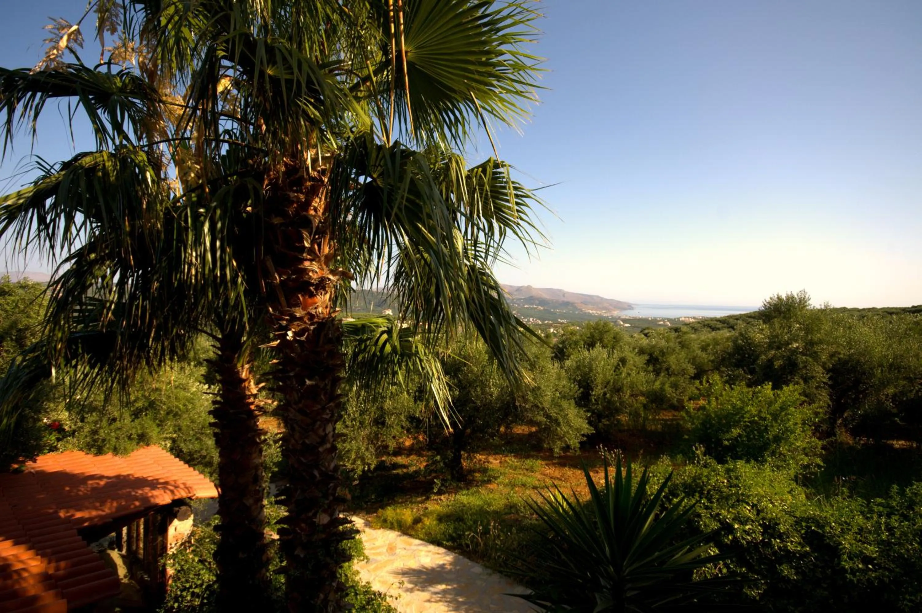 Garden in Elia Hotel & Spa