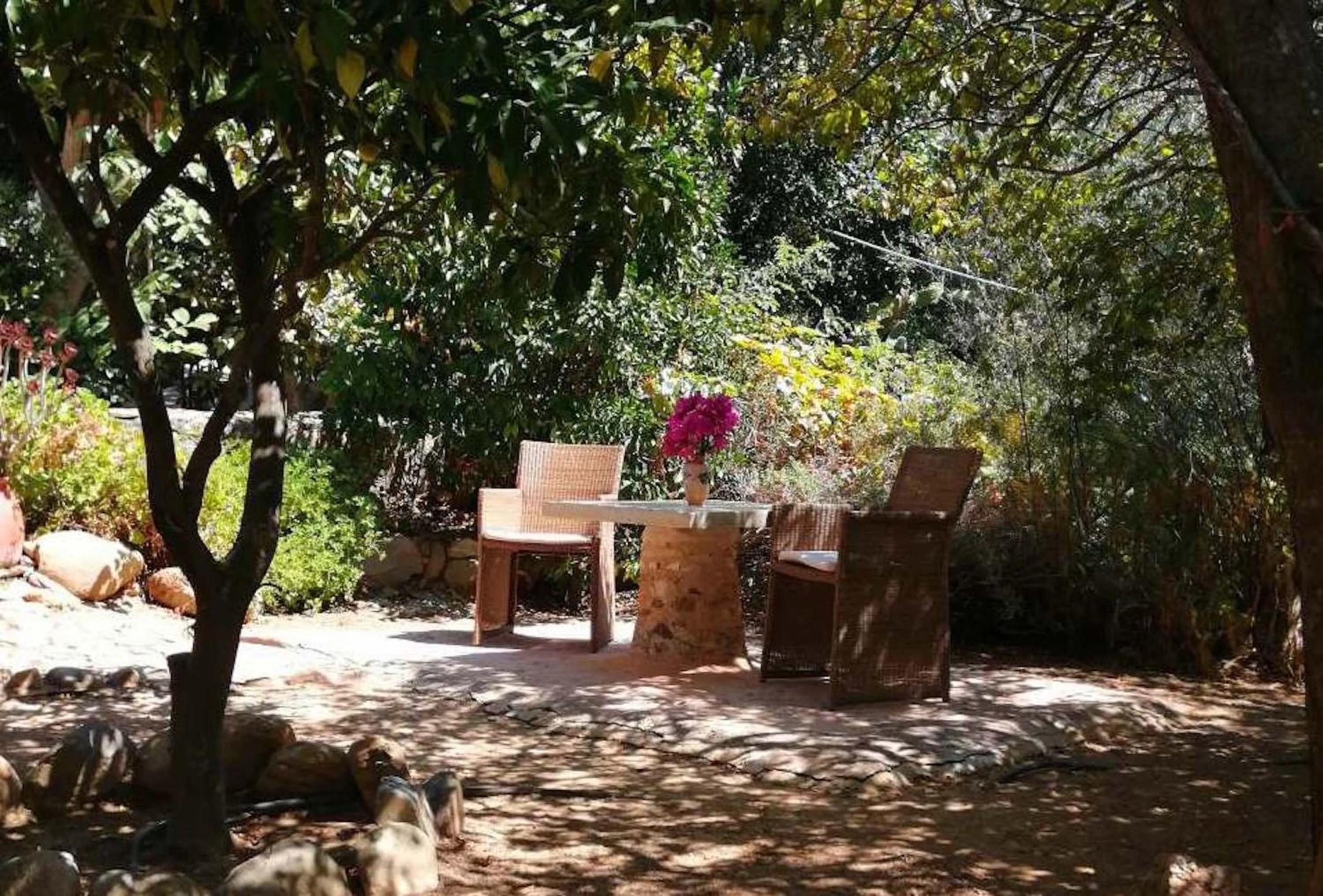 Patio in Elia Hotel & Spa