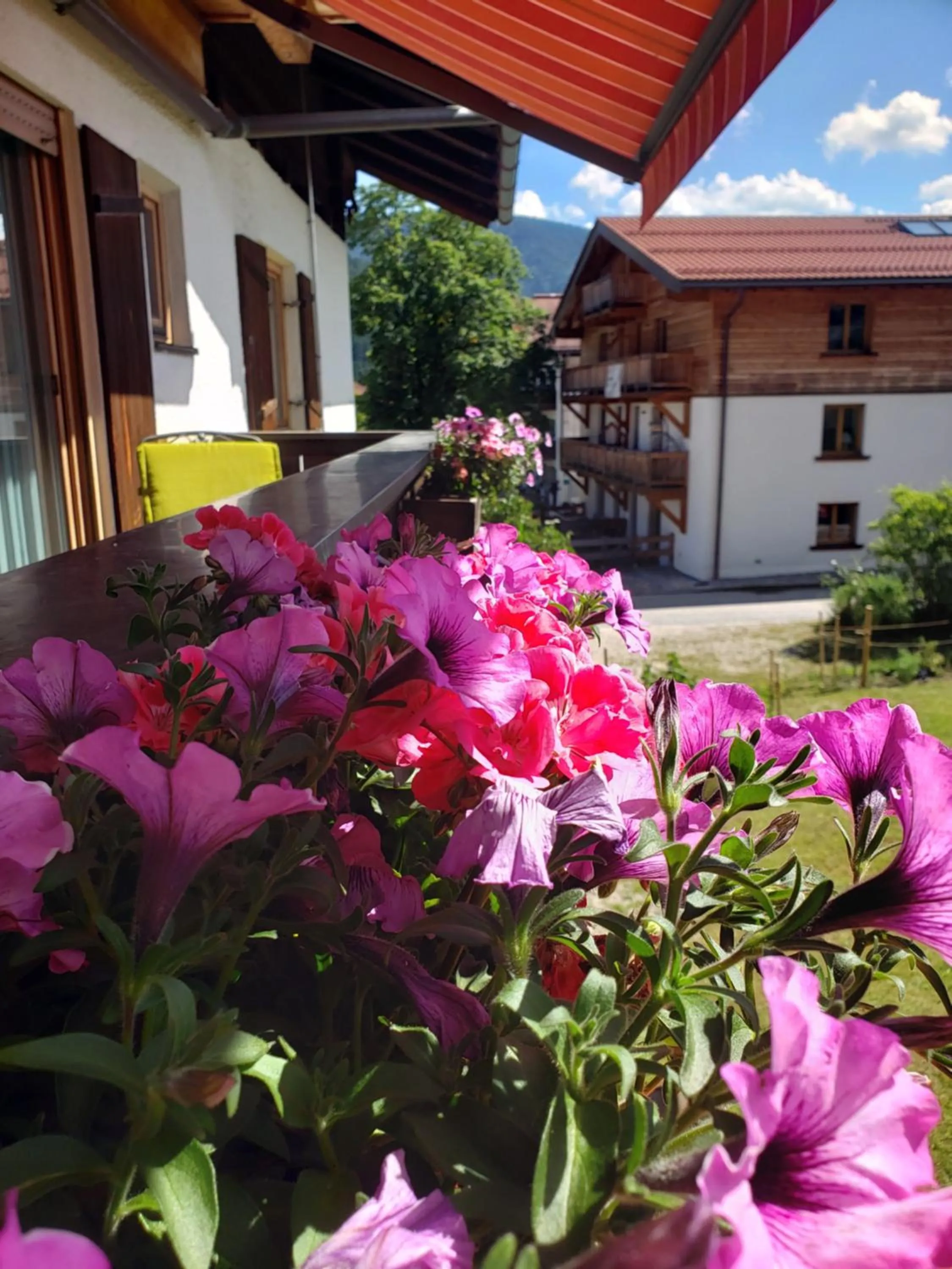 Balcony/Terrace in Haus Zauner