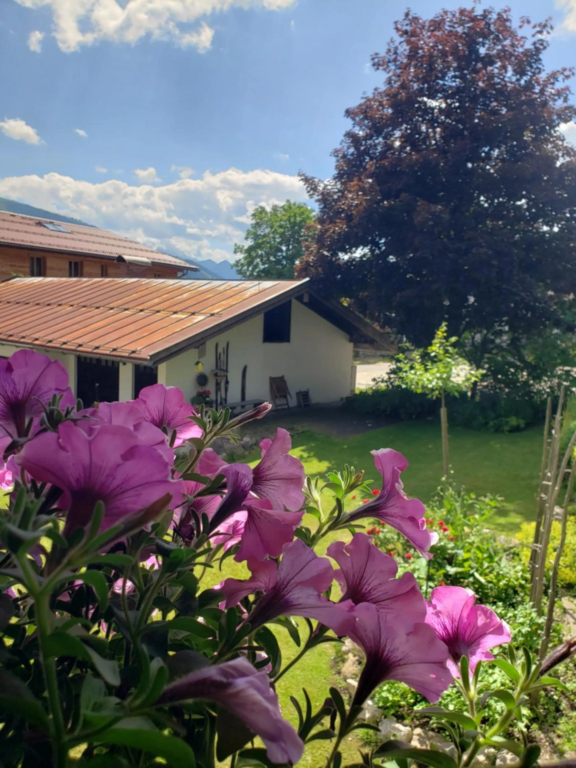 View (from property/room) in Haus Zauner