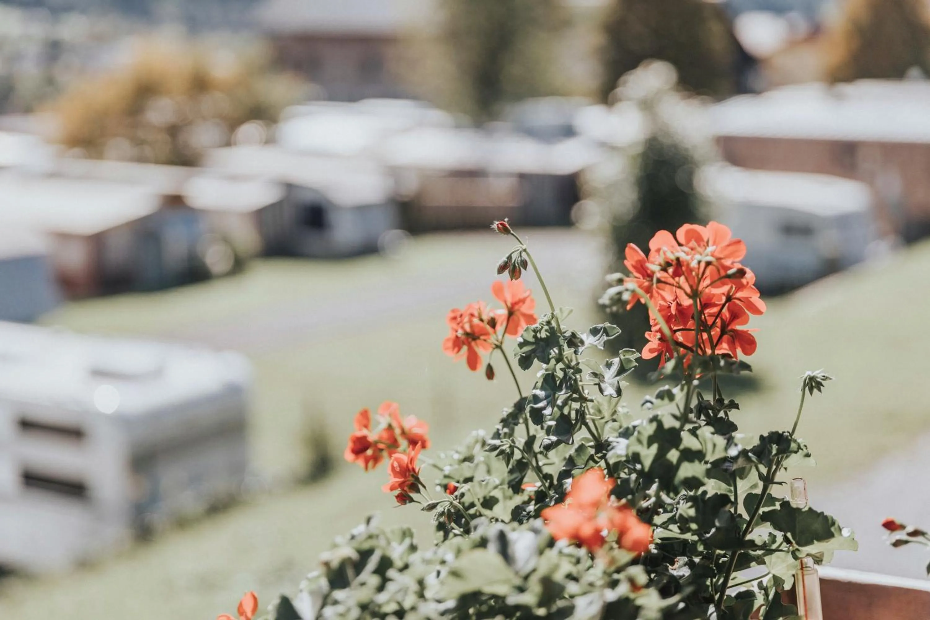 View (from property/room) in Appartements Wieshof