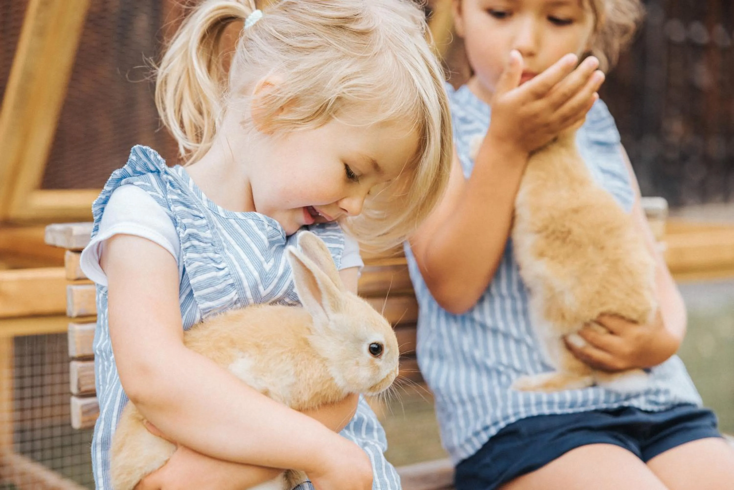 Children play ground in Appartements Wieshof
