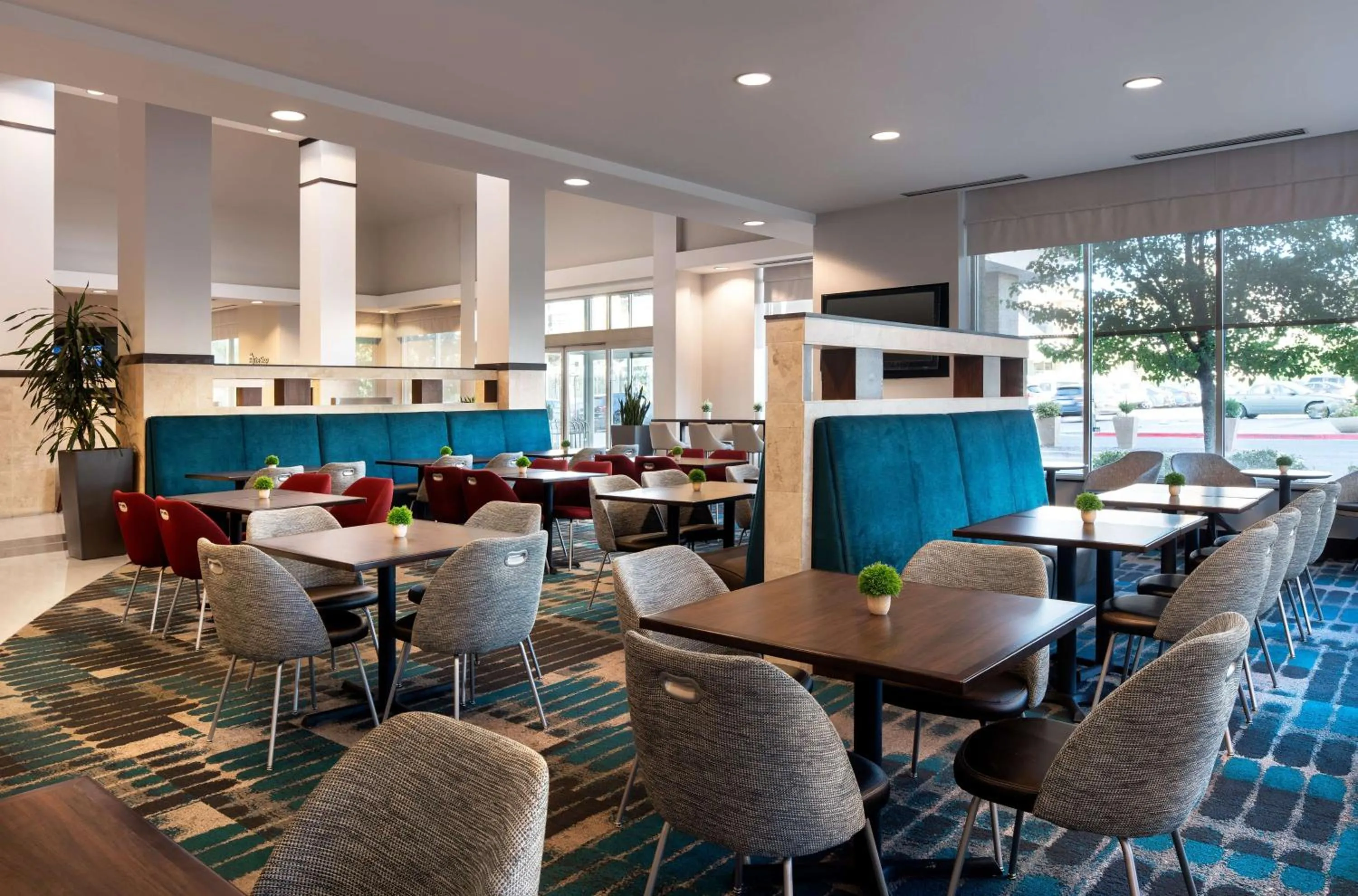 Restaurant/places to eat in Hilton Garden Inn Denver/Cherry Creek
