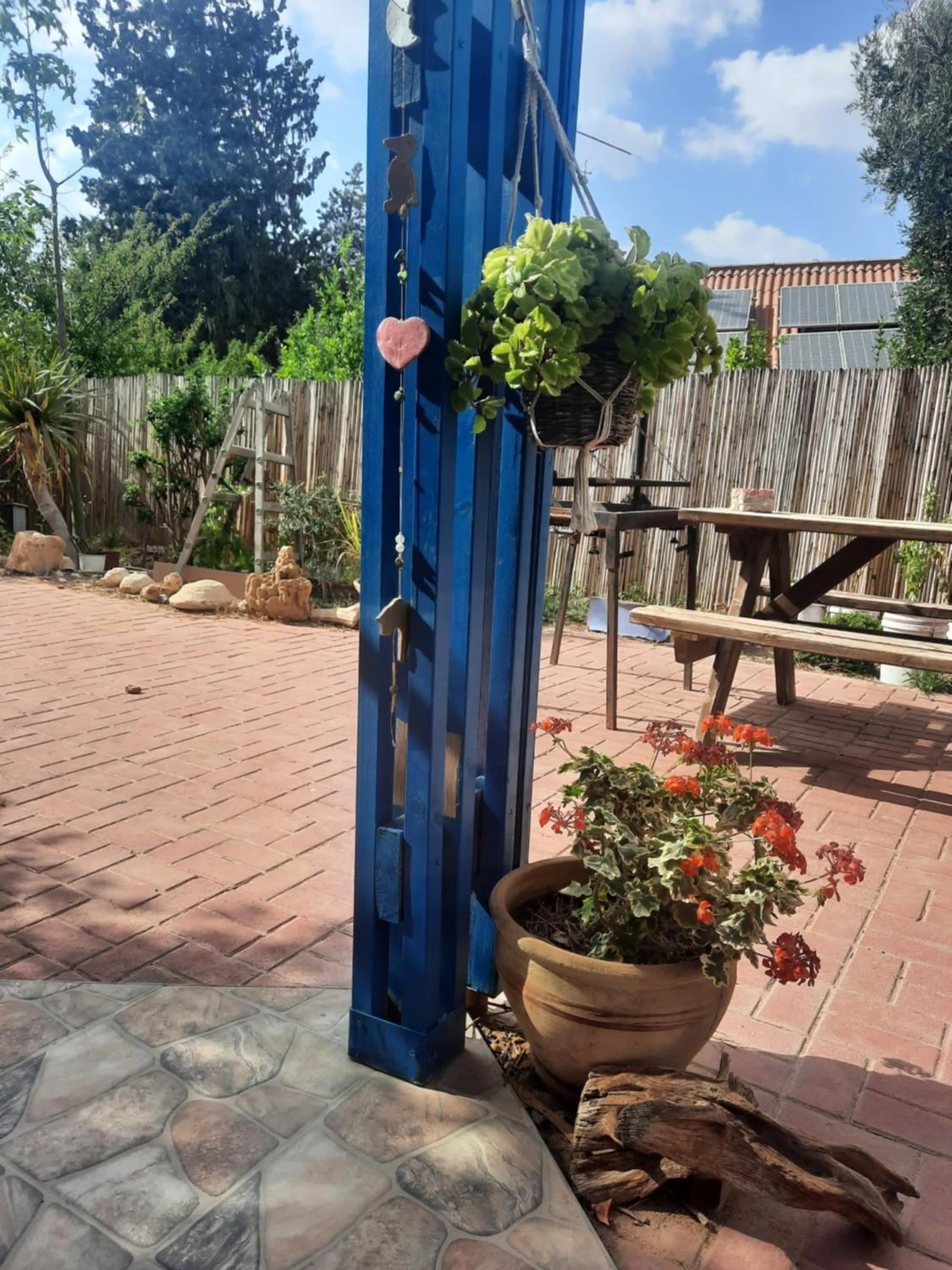 Inner courtyard view in הבית הירוק - Green House