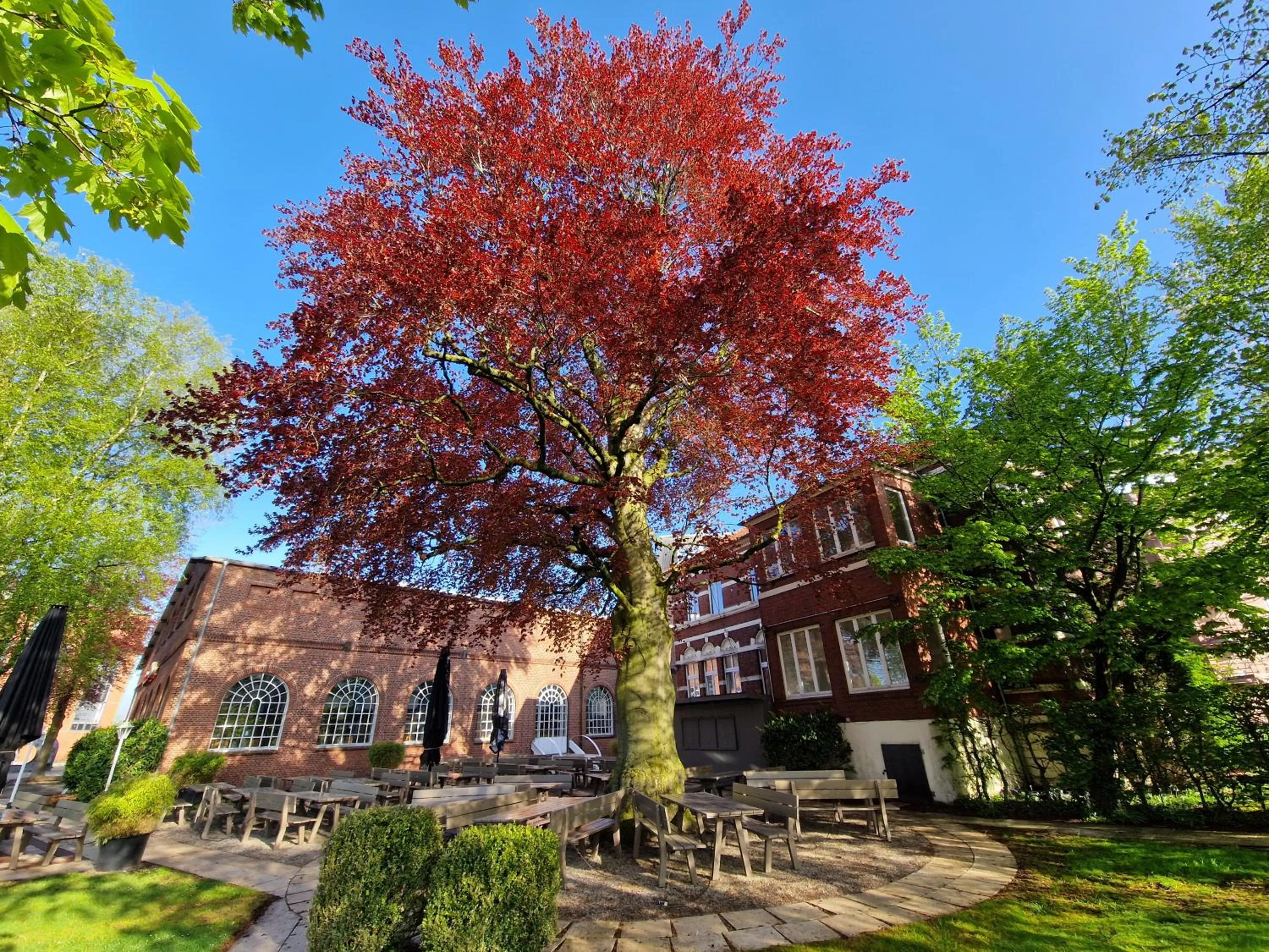 Restaurant/places to eat in Hotel Alte Werft