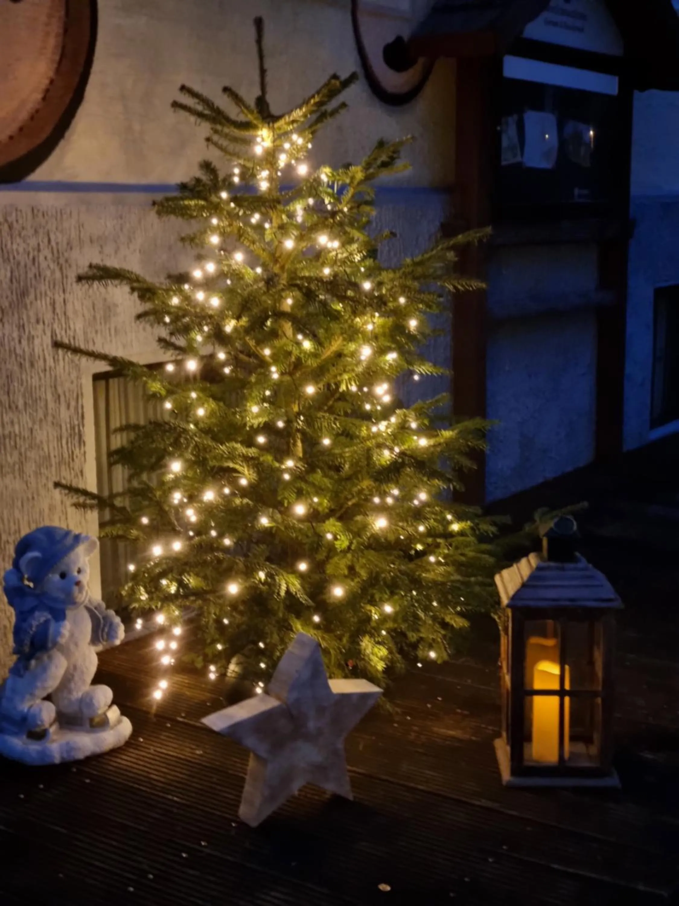 Property building in Teddybärenhotel