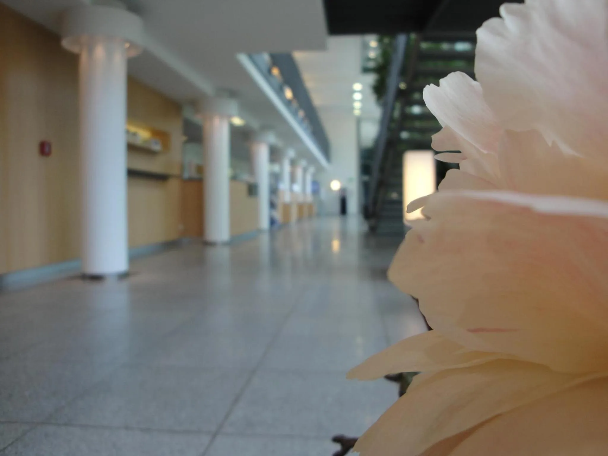 Facade/entrance in Akademiehotel Dresden