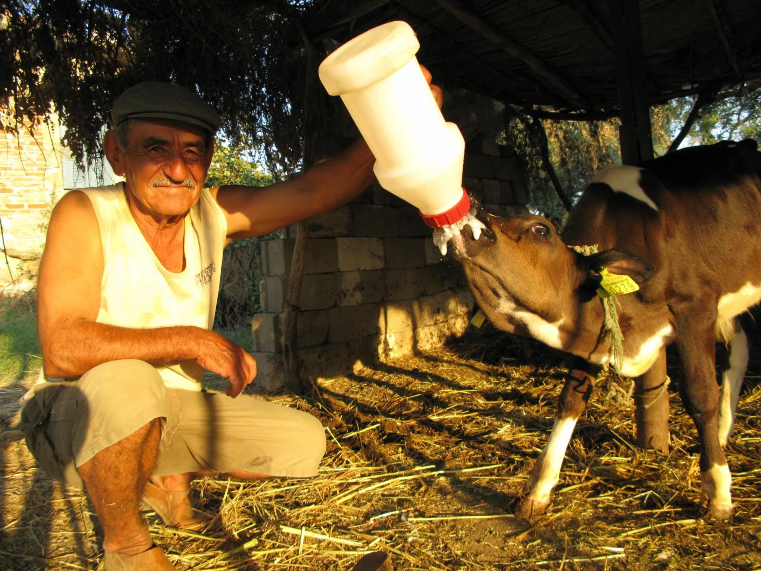 Off site in Agora Pansiyon