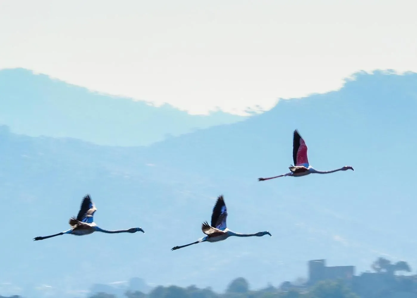 Area and facilities in Agora Pansiyon