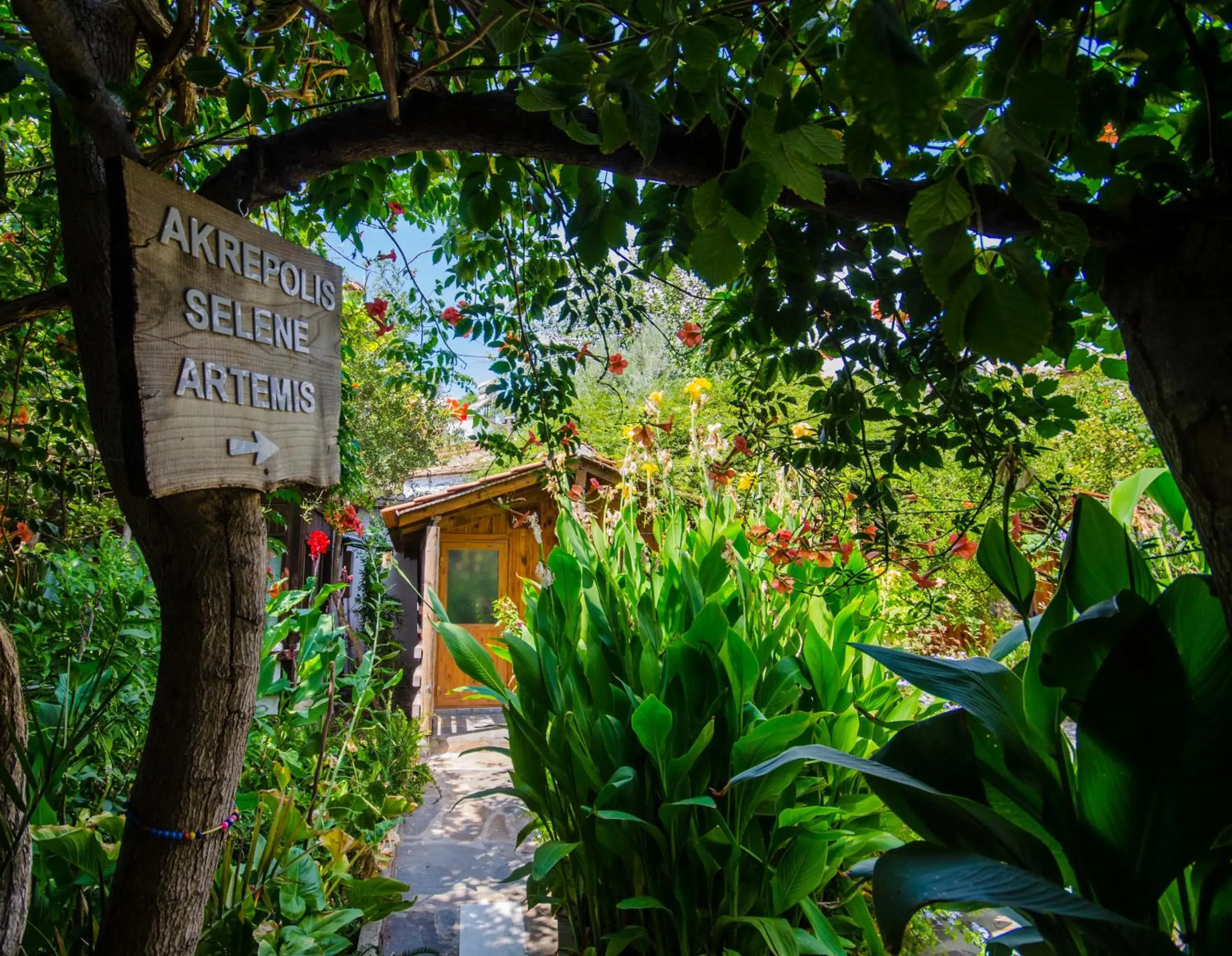 Small Bungalow with Garden View in Agora Pansiyon Small Bungalow with Garden View in Agora Pansiyon