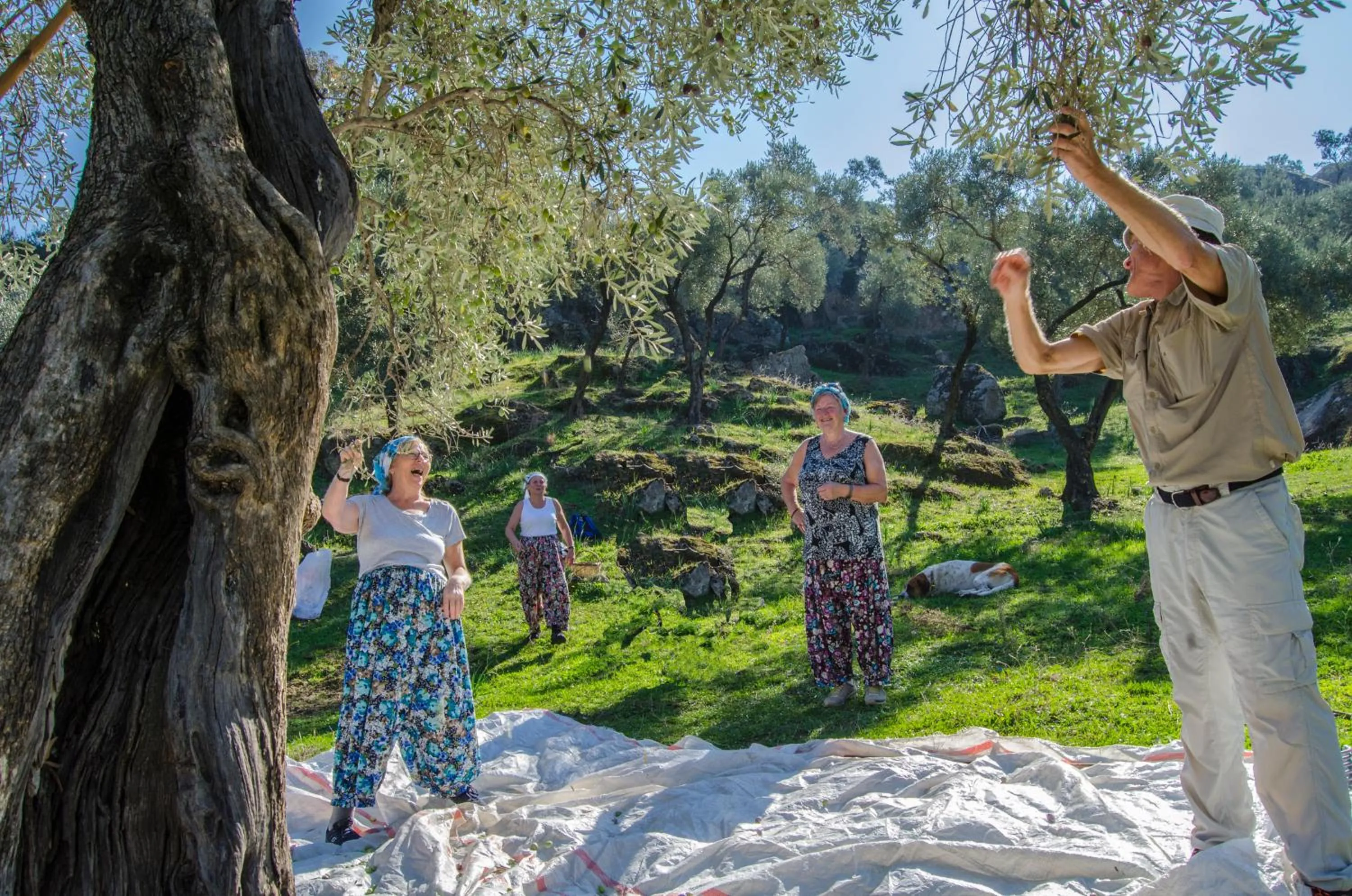 View (from property/room) in Agora Pansiyon