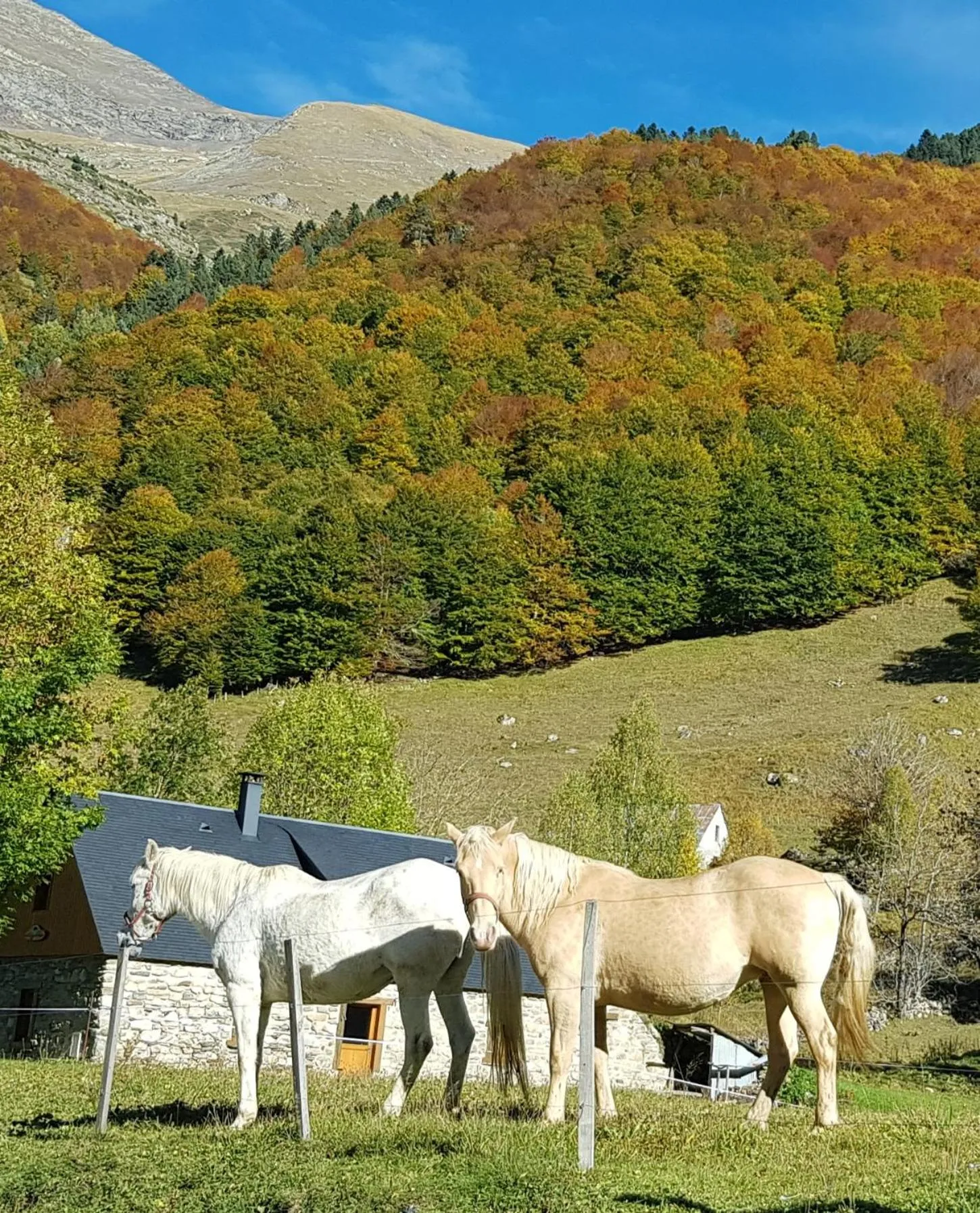 Natural landscape in Hôtel Terminus