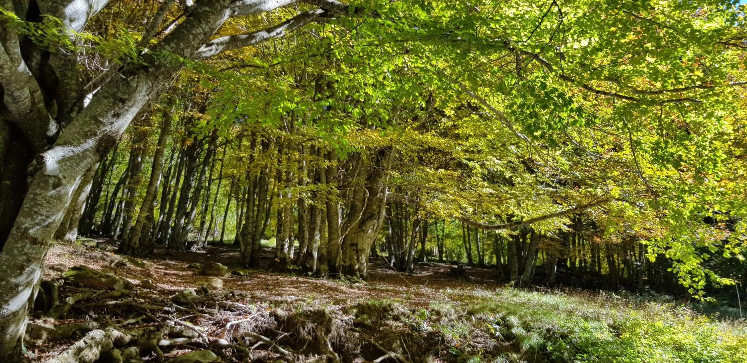 Spring in Hôtel Terminus