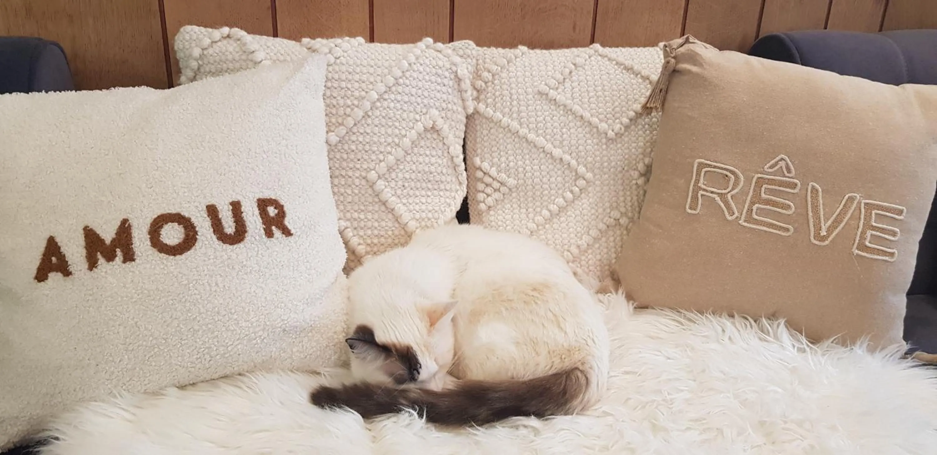 Lounge or bar in Hôtel Terminus