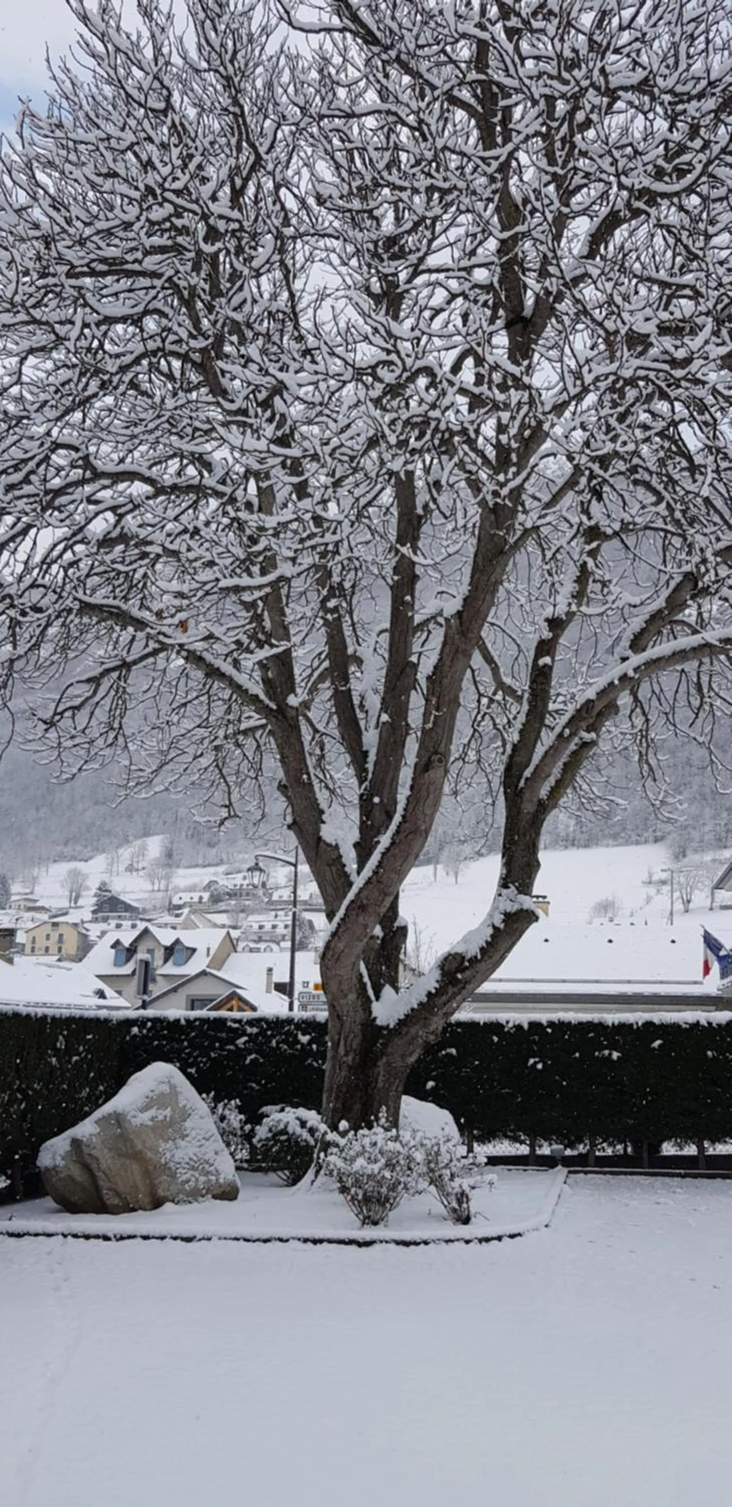 Natural landscape in Hôtel Terminus