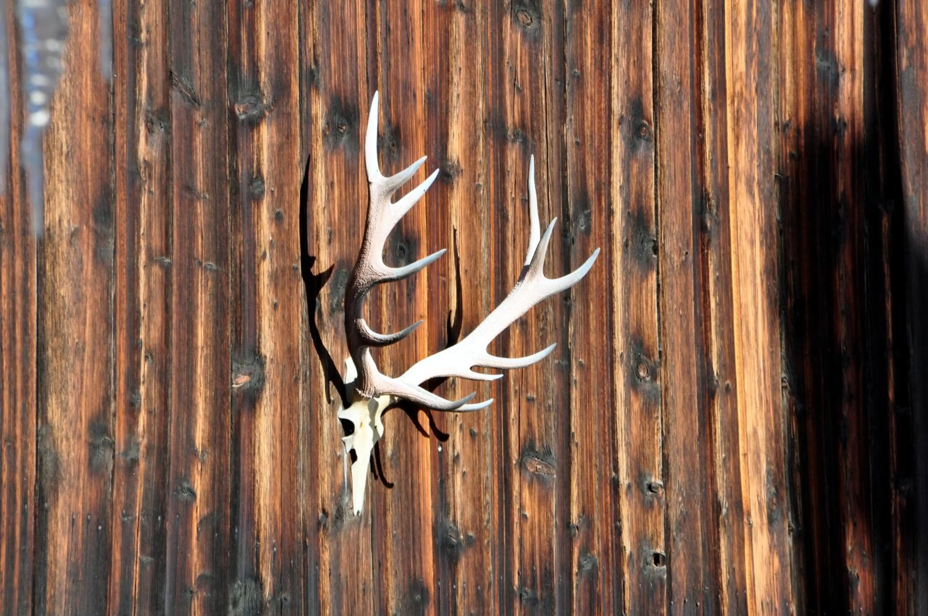 Decorative detail in Gasthof Weyerhof