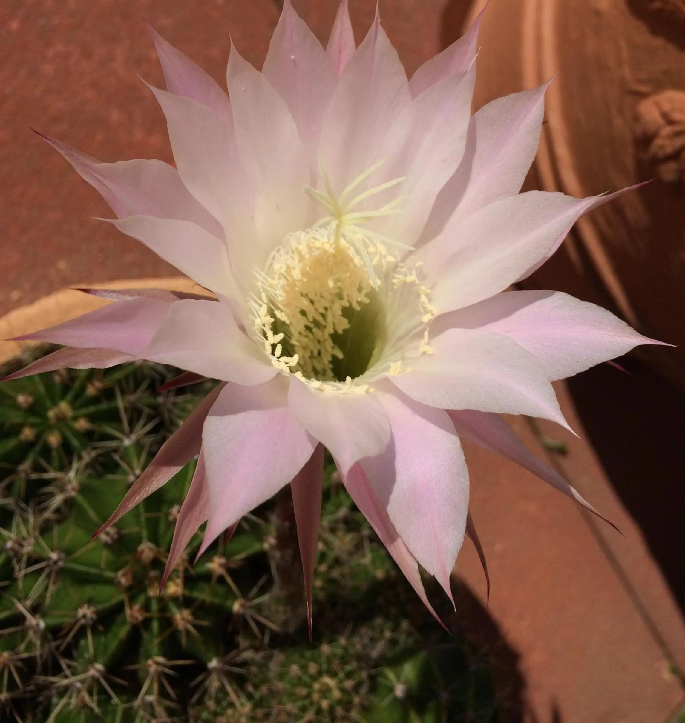 Other in Hotel Restaurant Rätia