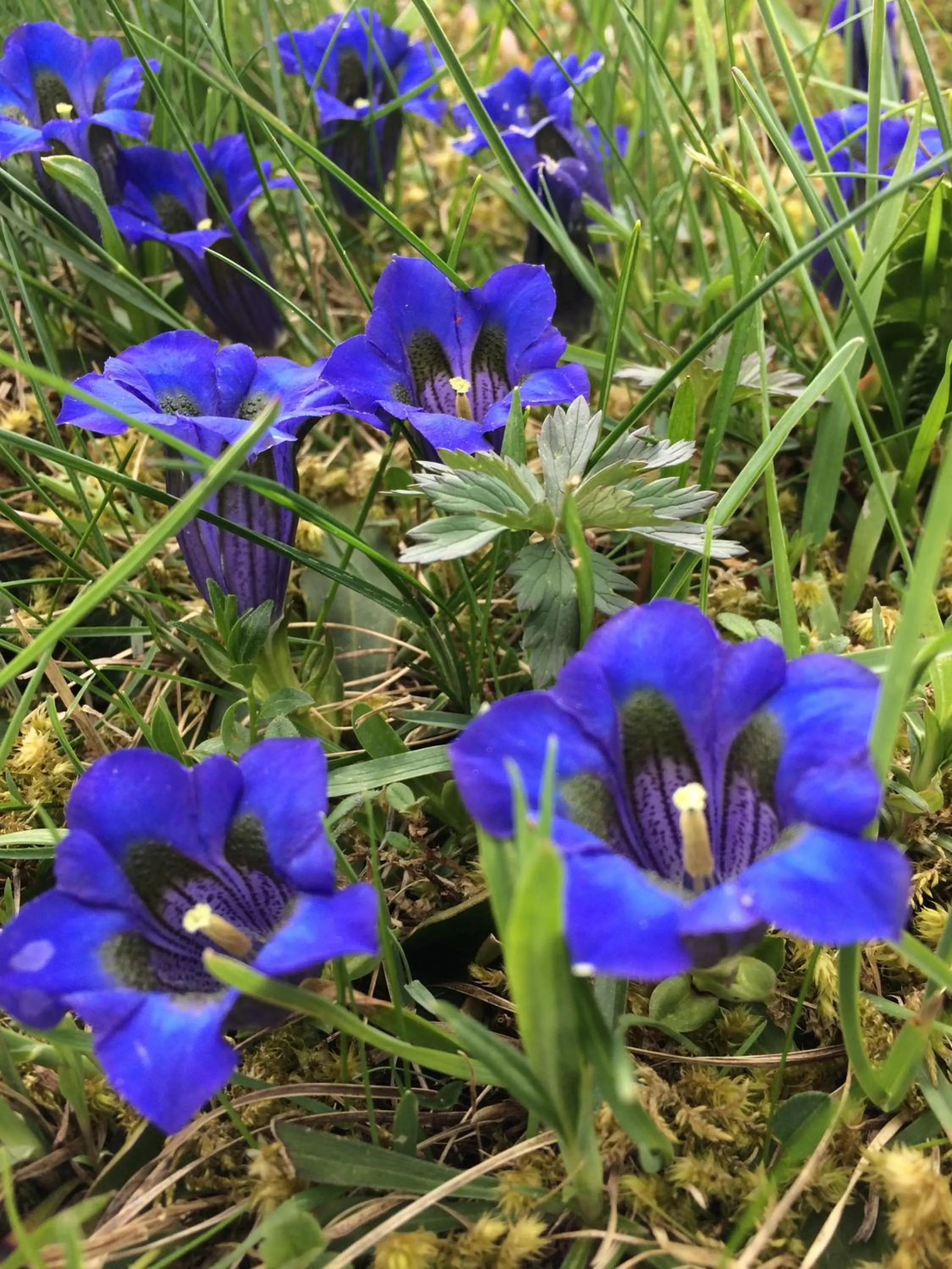 Other in Hotel Restaurant Rätia