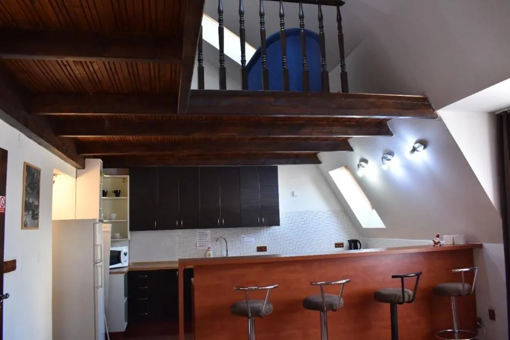 Kitchen or kitchenette in U Betty - Ostrava Centrum