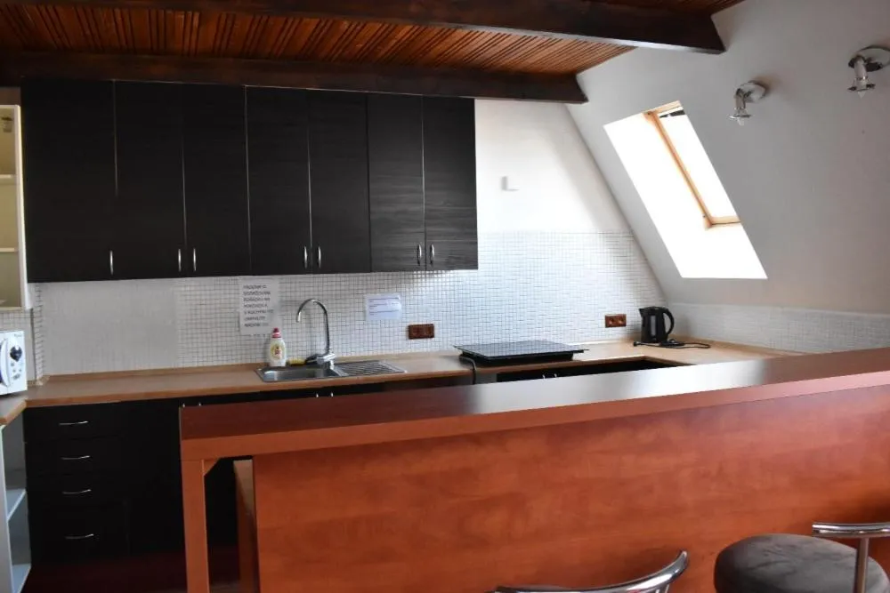 Kitchen or kitchenette in U Betty - Ostrava Centrum