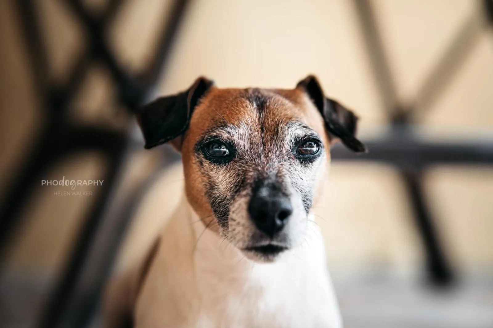 B&B DOMU INCANTO Sa Domu sarrabesa