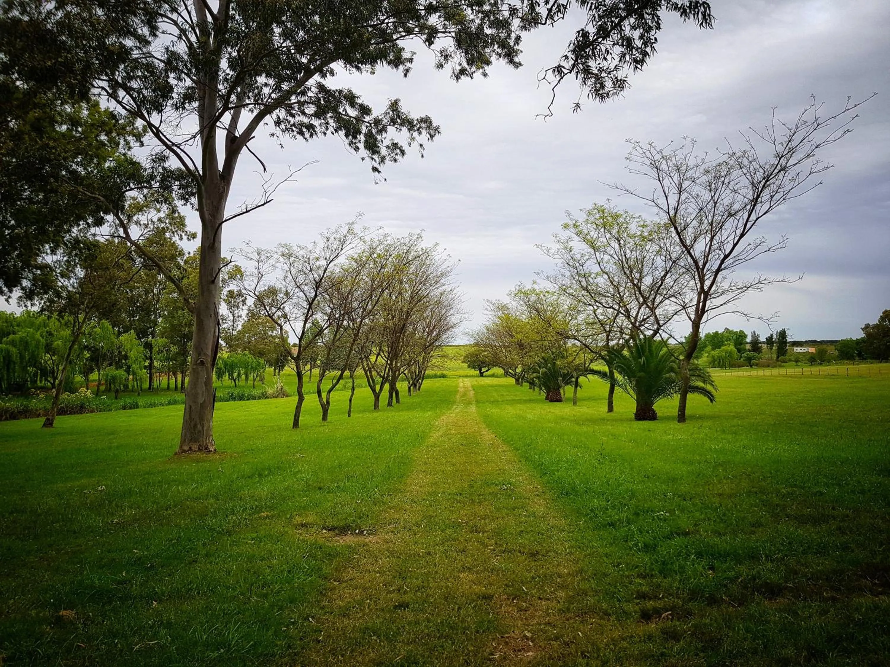 Garden view in Casa del Sol Hotel & Restaurante
