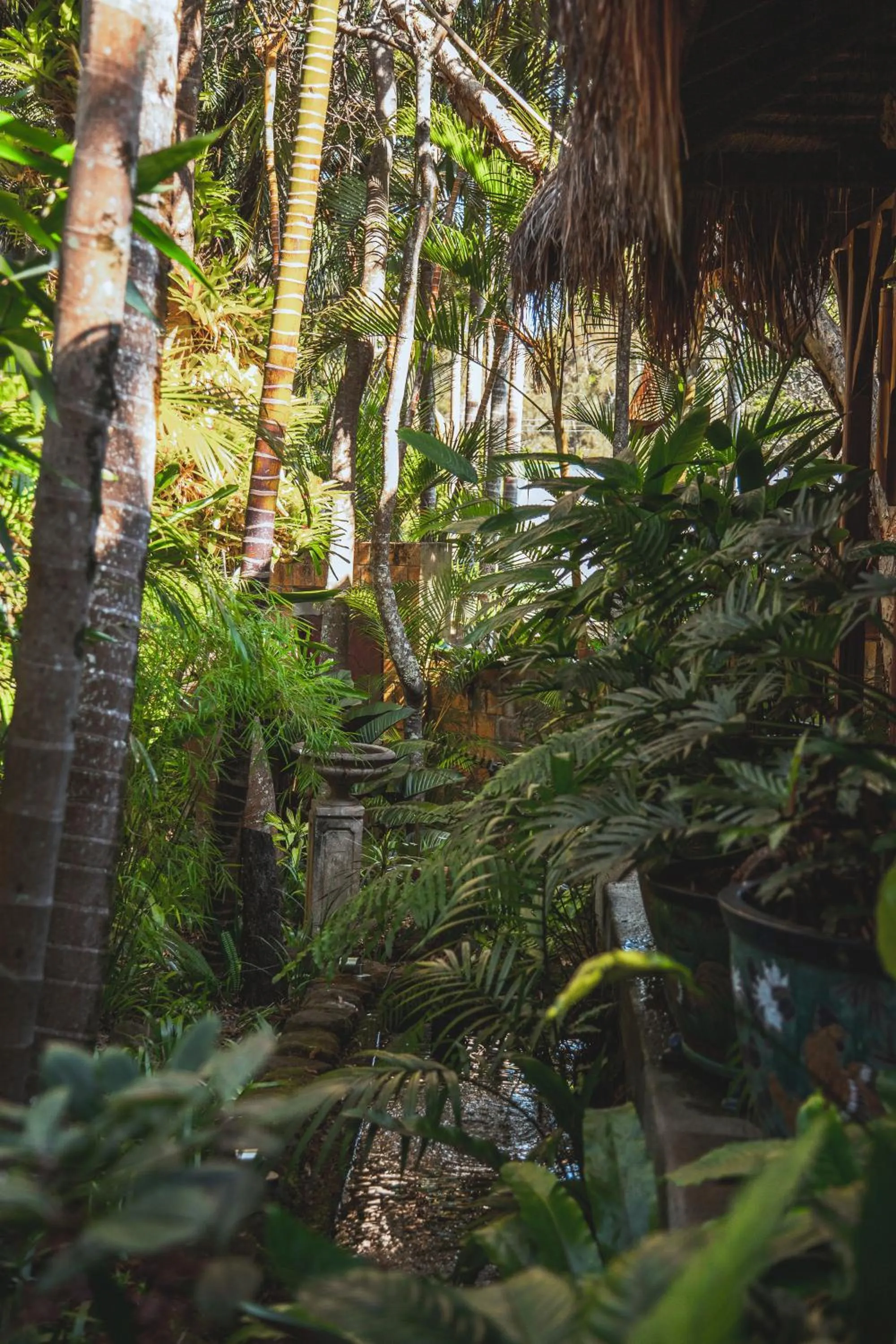 Garden in Garden Burees