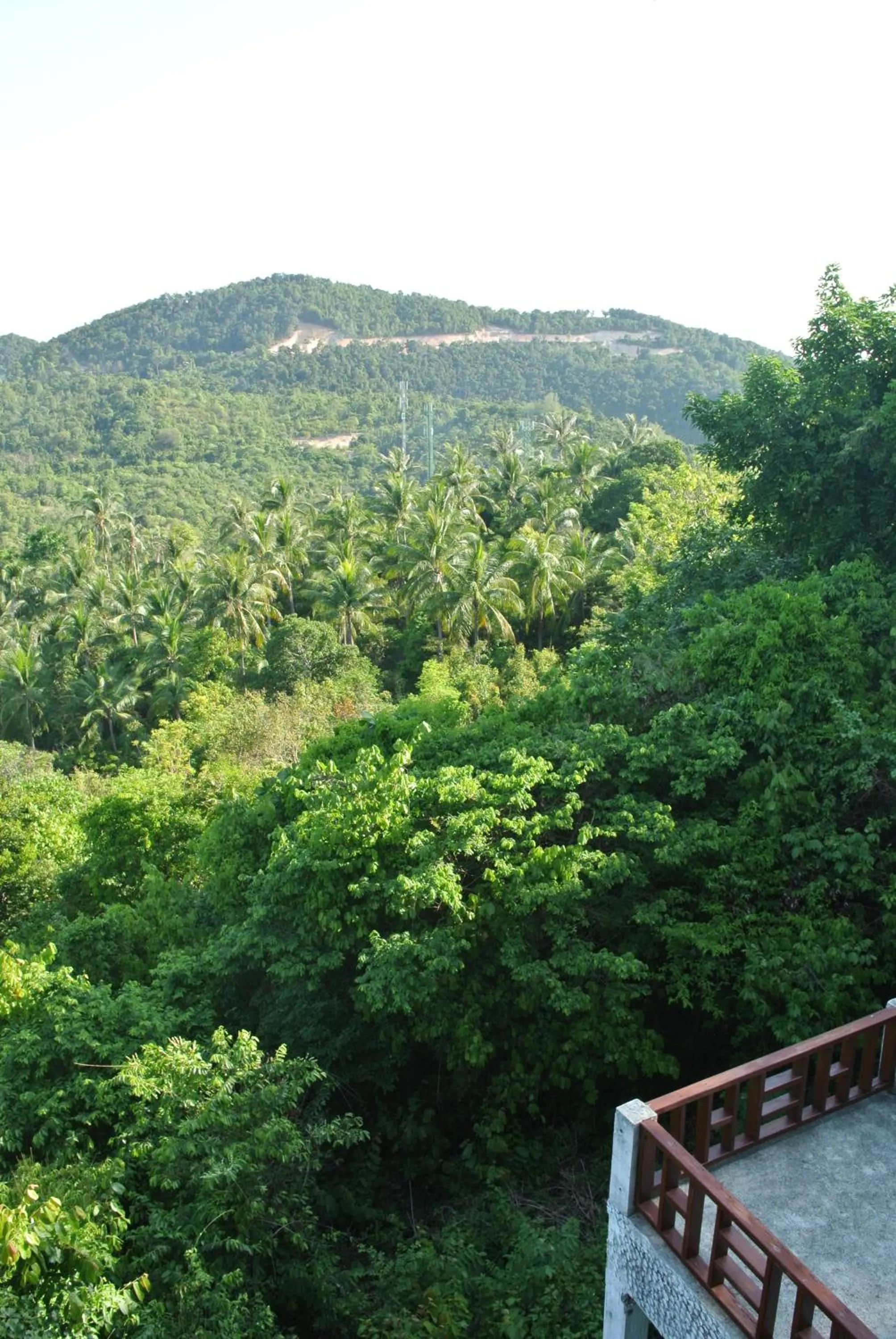 View (from property/room) in Phangan Utopia Resort